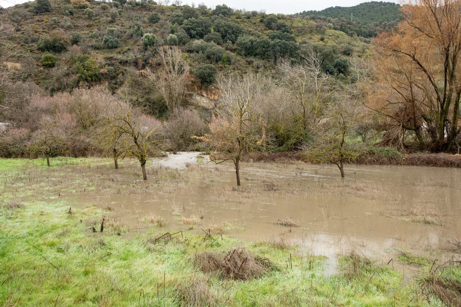 Una zona desbordada próxima al río de Aguas Blancas