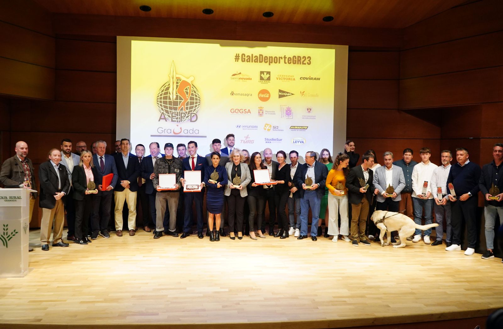 Las mejores imágenes de la Gala de la Asociación de Periodistas Deportivos de Granada