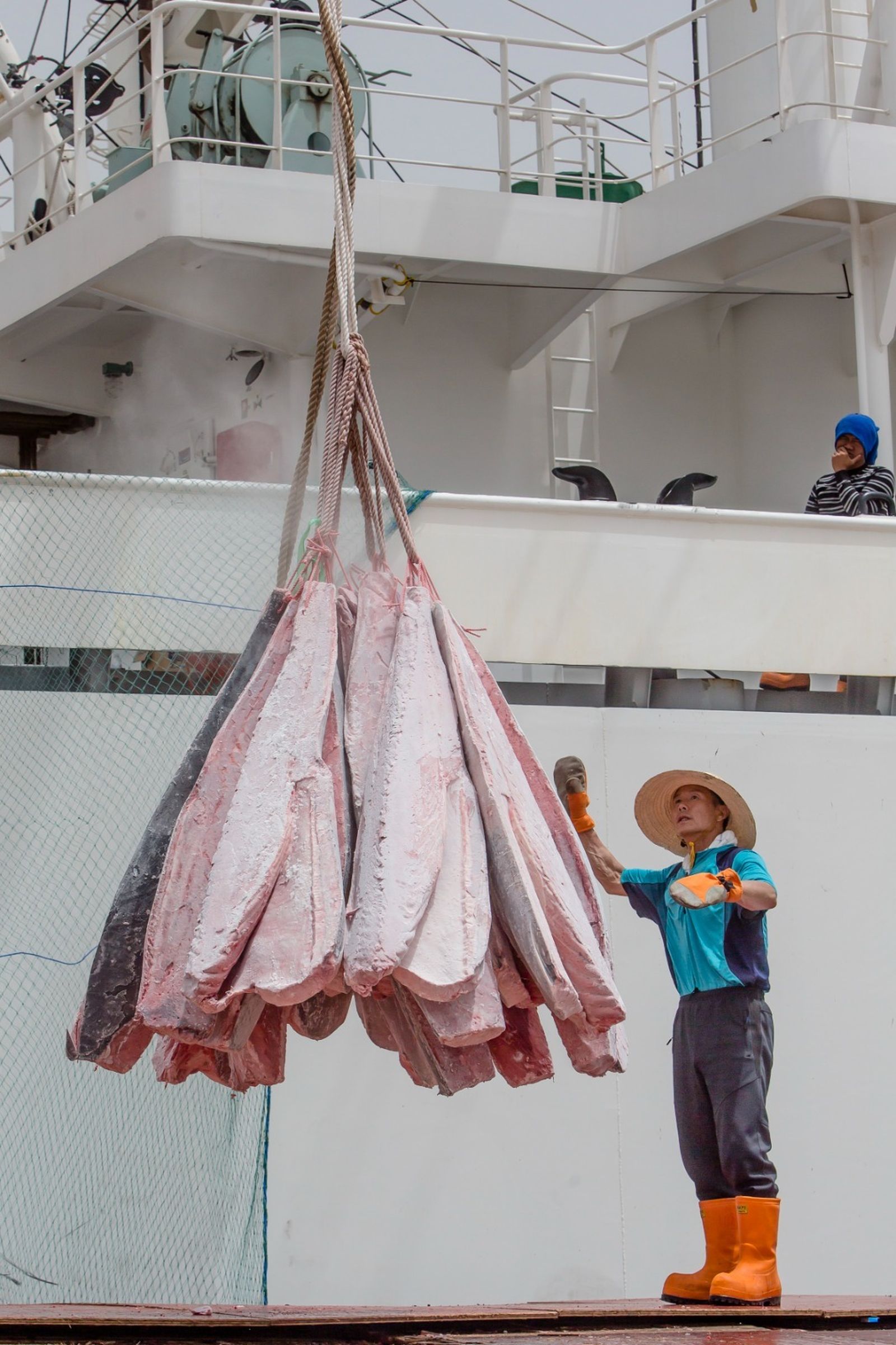 Petaca descarga cinco toneladas de atún de la almadraba de Barbate en la Zona Franca