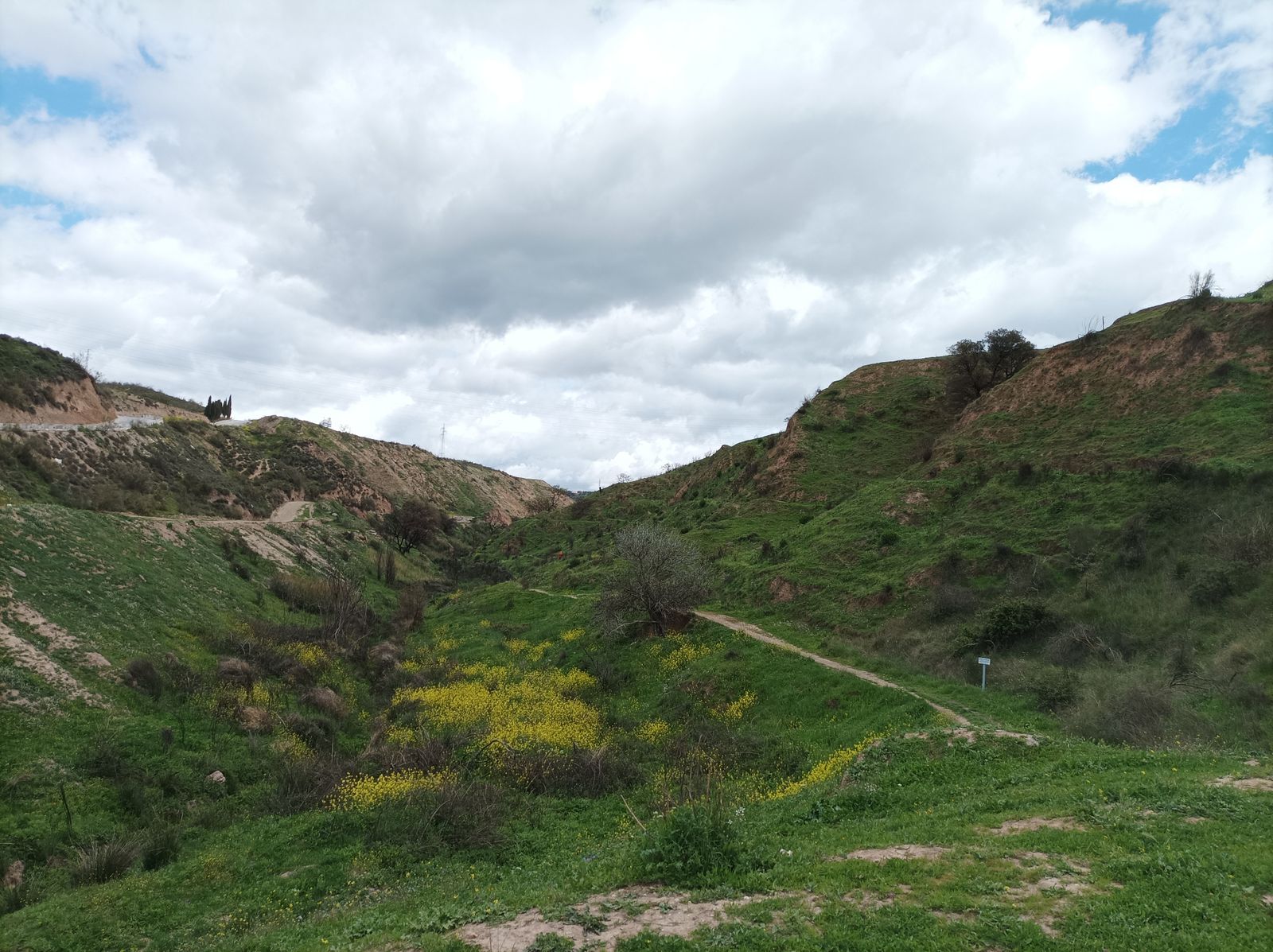 El barranco de San Jerónimo vuelve a la vida tras el incendio que se llevó por delante 70 hectáreas en Granada