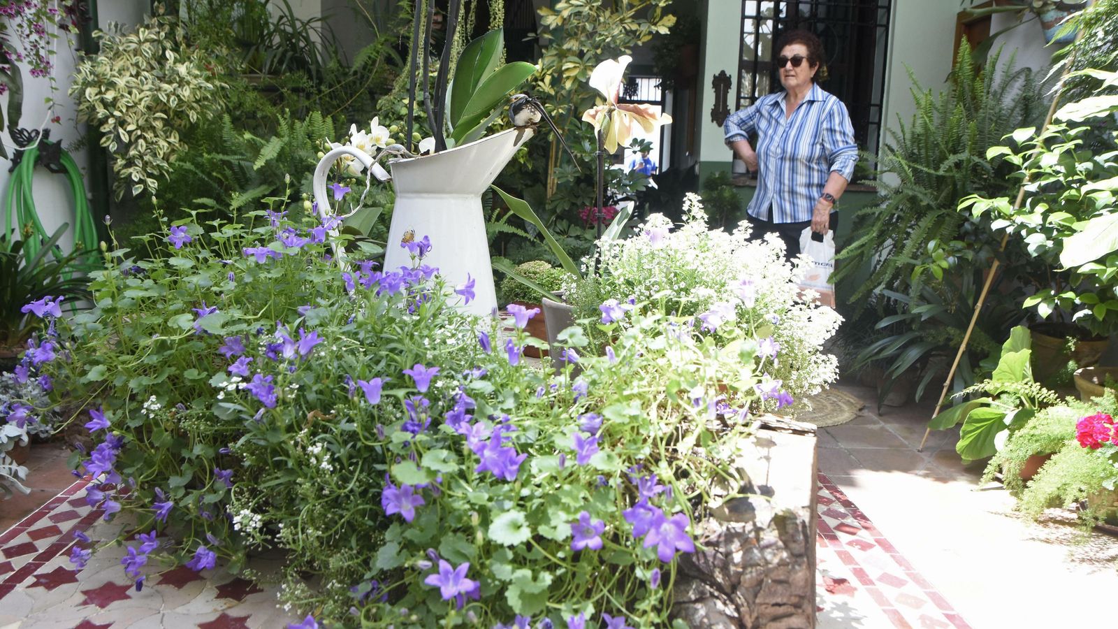 Patio de Alvar Rodríguez, 8