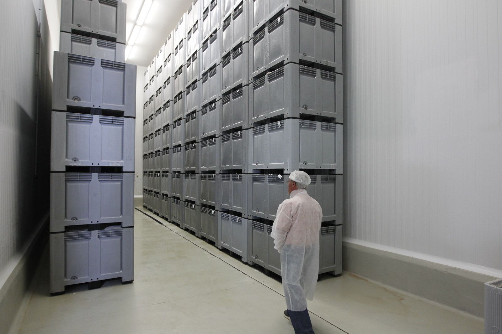 Las imágenes de la ampliación de las instalaciones de Jamones de Serón Cortijo de Canata