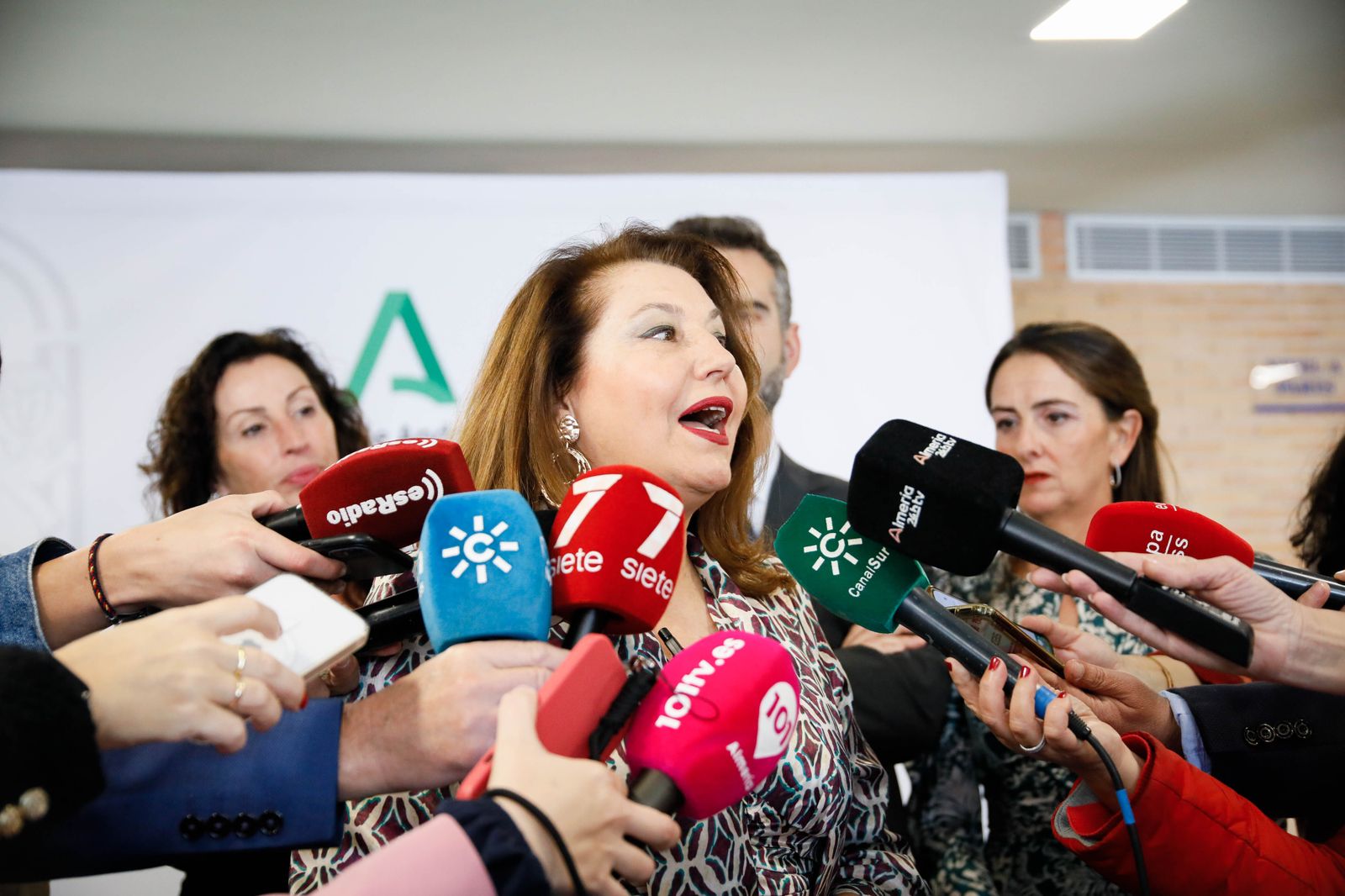 Imágenes de las entregas de las banderas de Andalucía