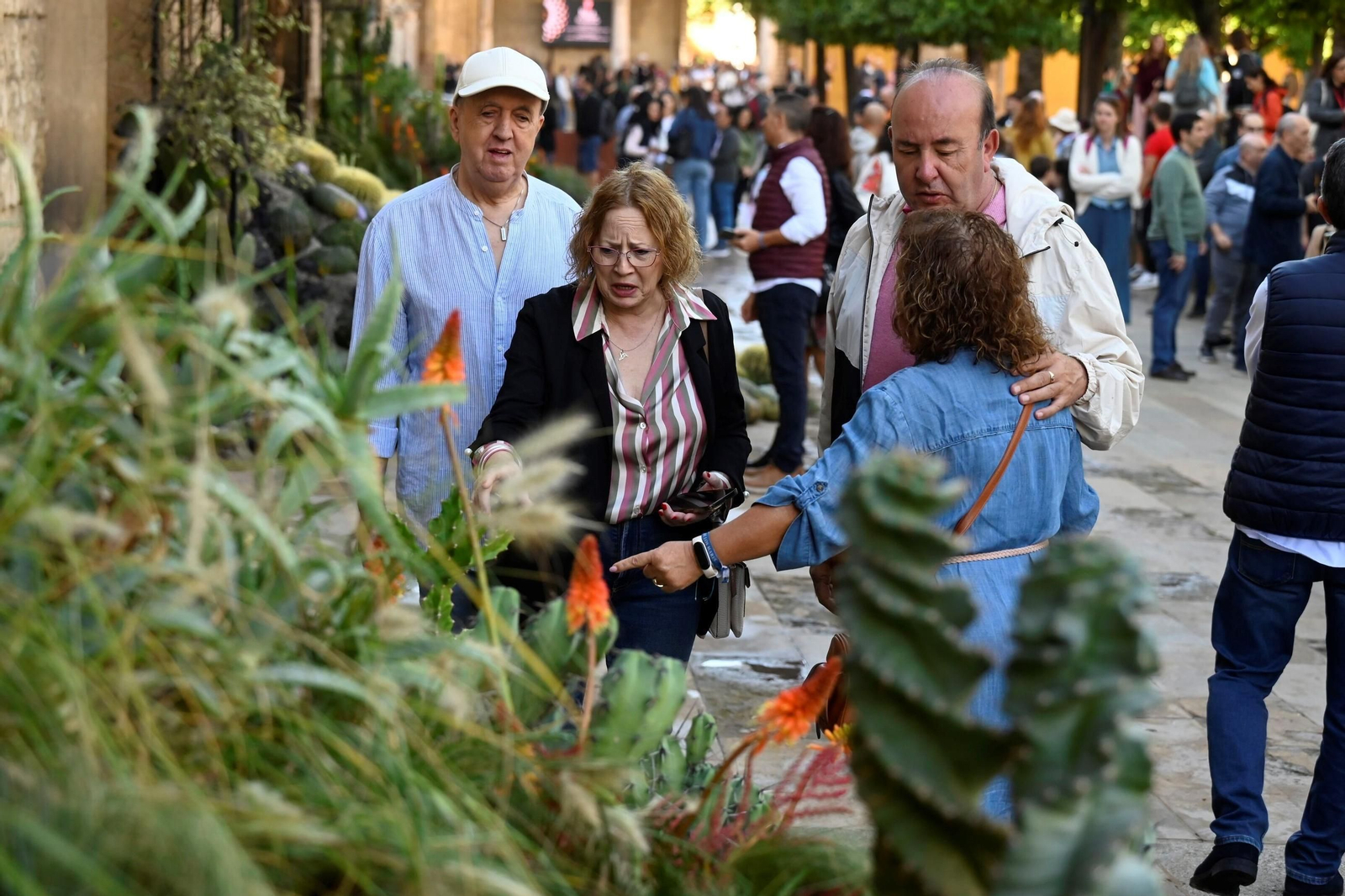 Las mejores fotos del Festival Flora 2024 de Córdoba