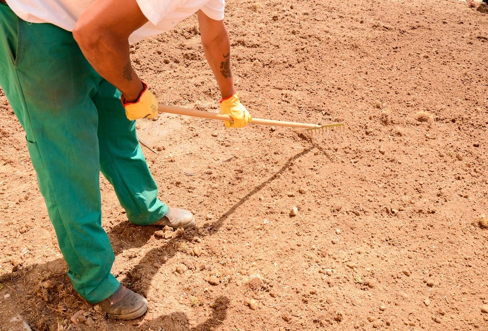 ”la Caixa” ha facilitado itinerarios de inserción sociolaboral a 21 internos del Centro Penitenciario de Almería