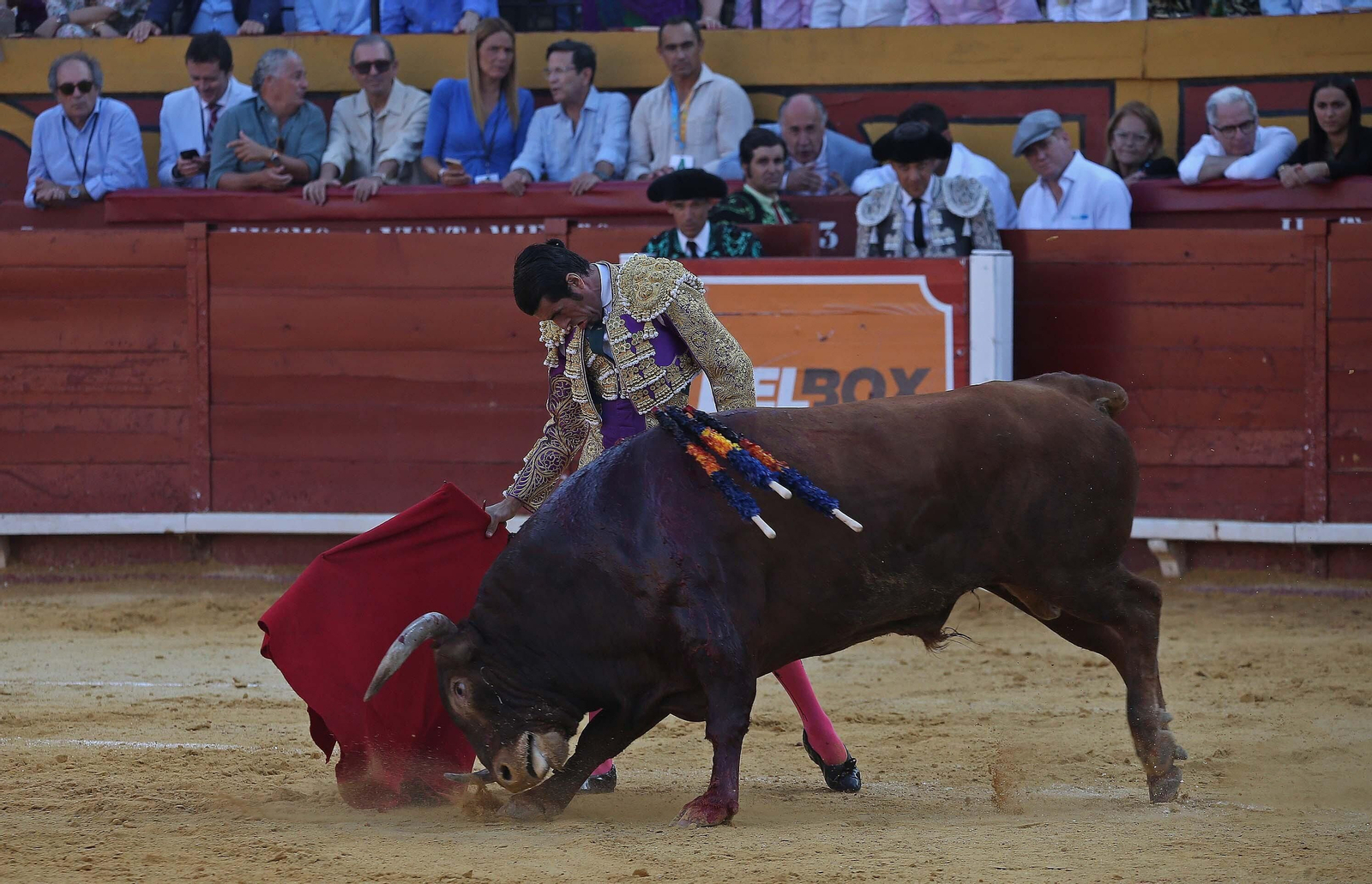 Fotos de la corrida del viernes de la Feria Taurina de Algeciras 2023: Morante de la Puebla, Emilio de Justo y David Galván