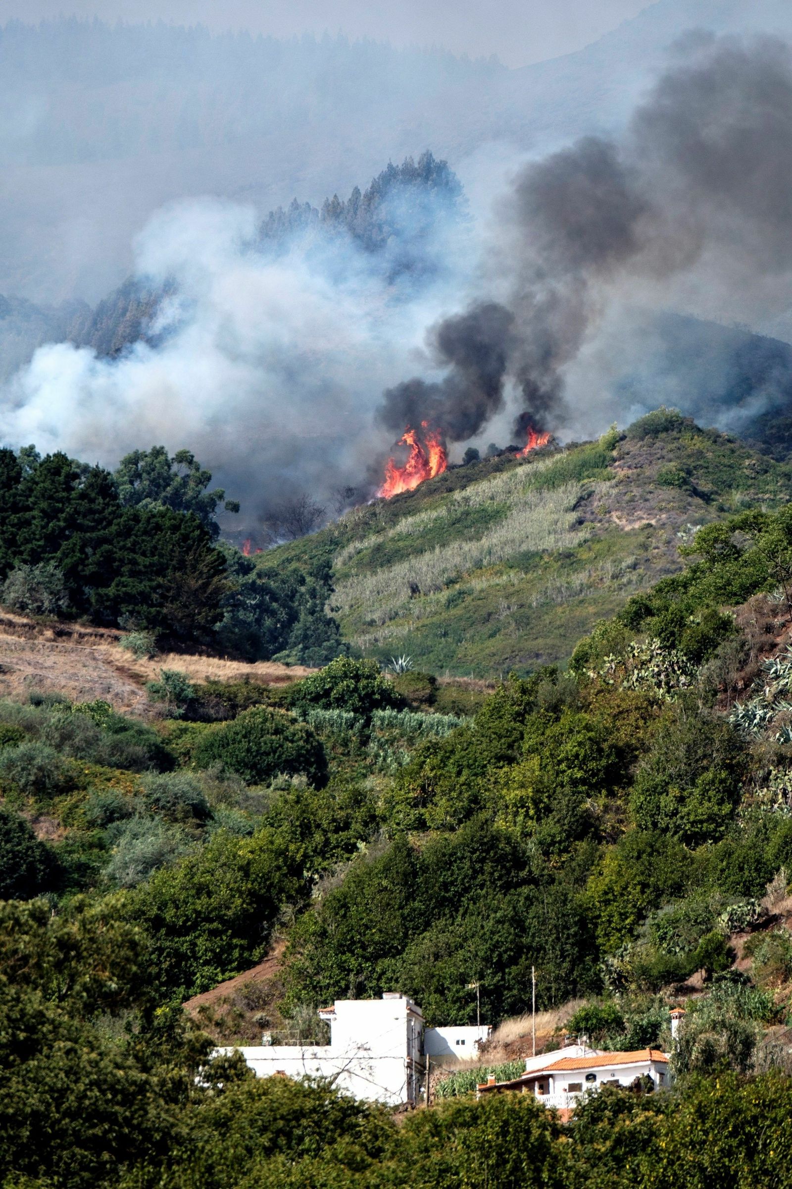 Las imágenes del incendio forestal en Gran Canaria.