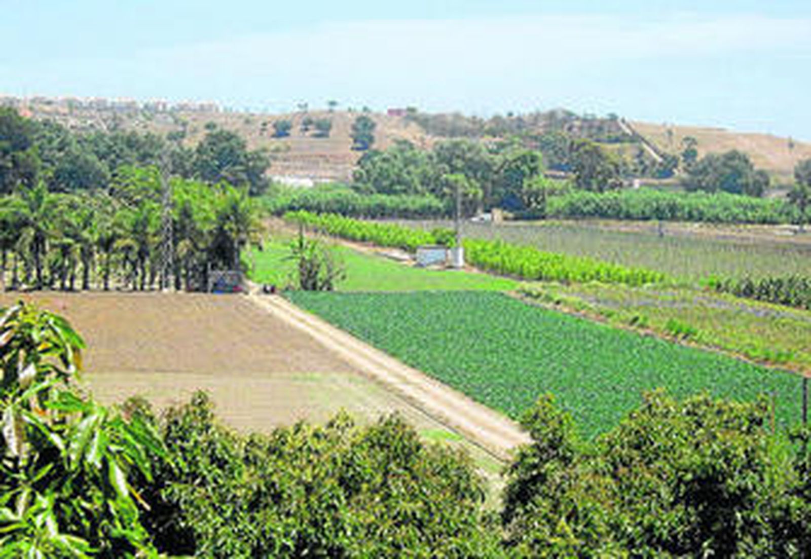 Finca de donde mana un intenso olor a estiércol en Torre del Mar.