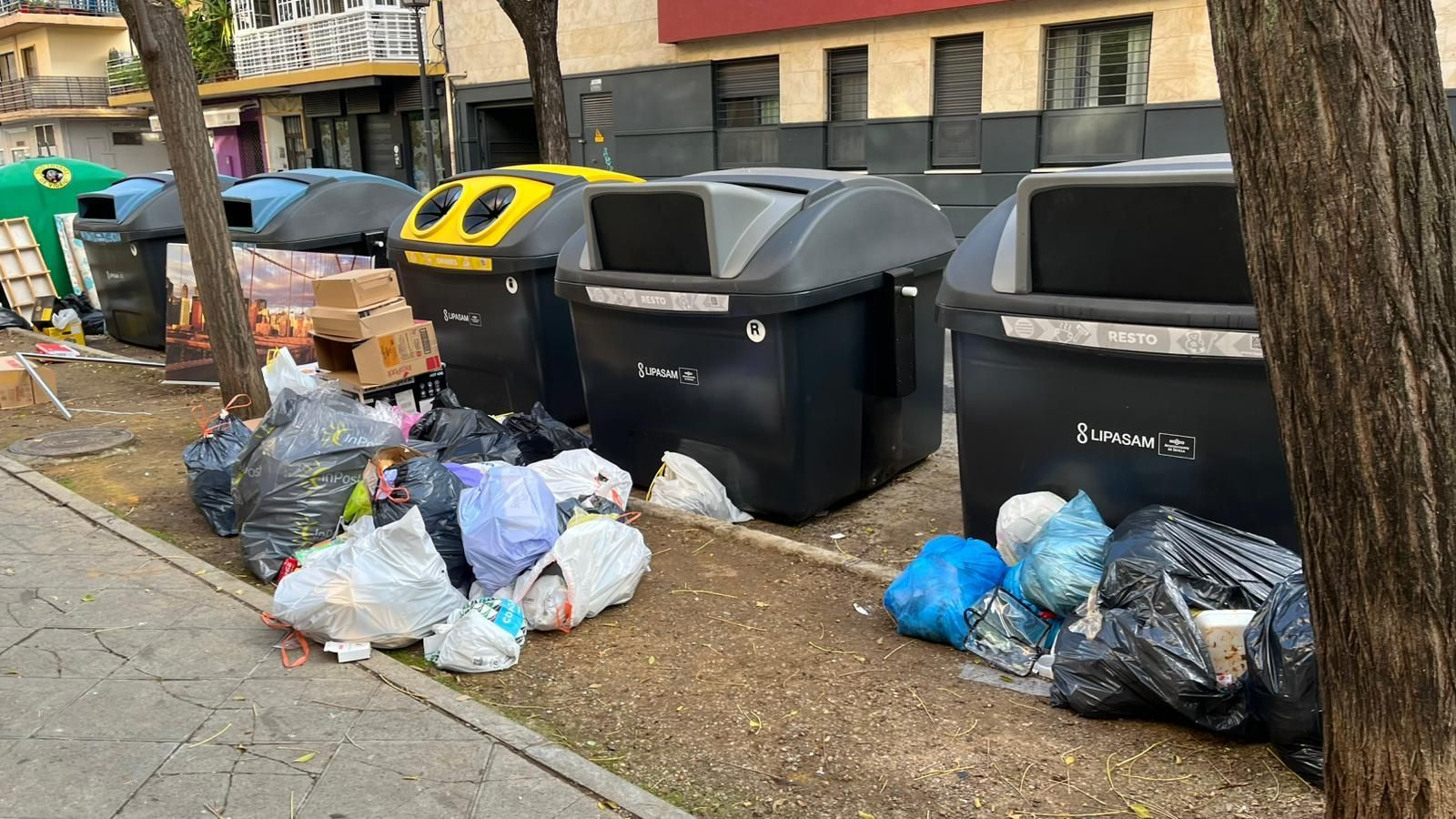 Montañas de basura en los siete contenedores reagrupados en la puerta de la comunidad Navicoas Parque del Porvenir