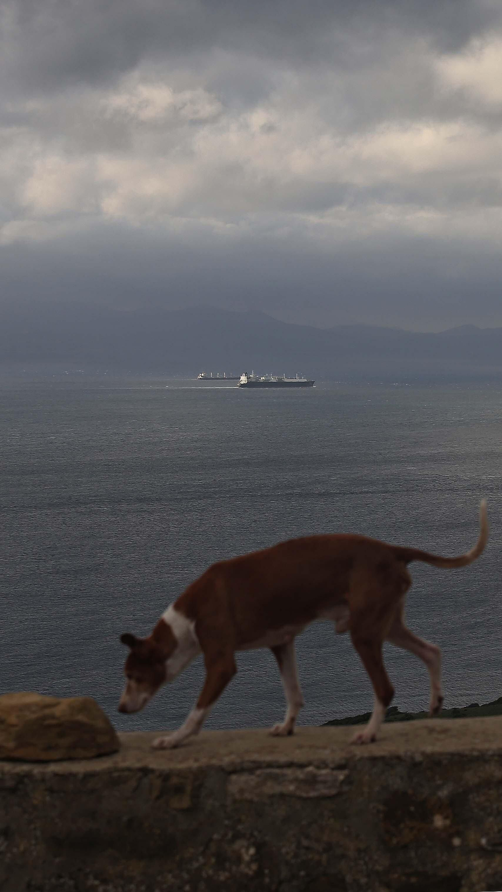 Fotos del sendero del Cerro del Tambor en Algeciras