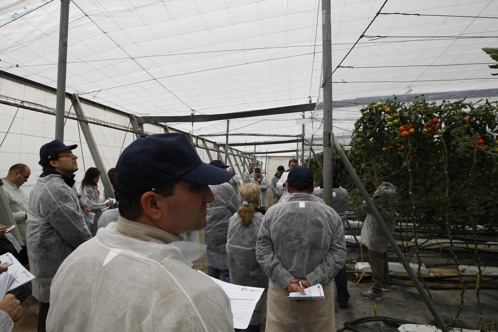 La Estación Experimental Las Palmerillas continúa siendo foco de atracción de visitas de profesionales del agro.
