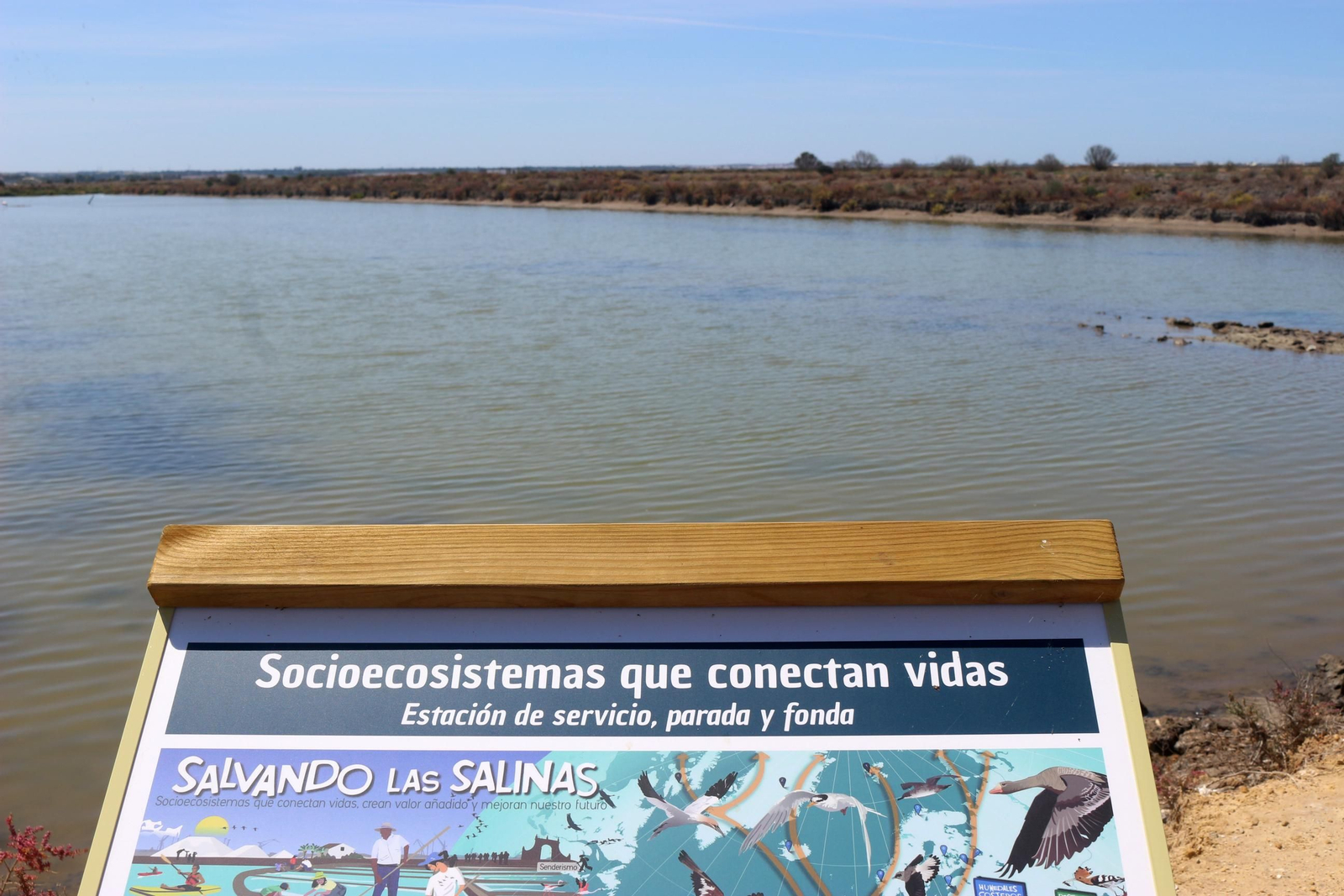 La recuperación de la Salina Balbanera, en imágenes