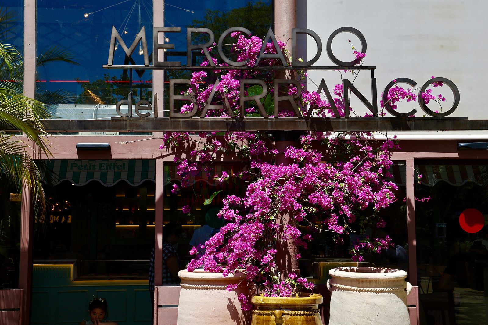 La buganvilla, la otra flor de Sevilla