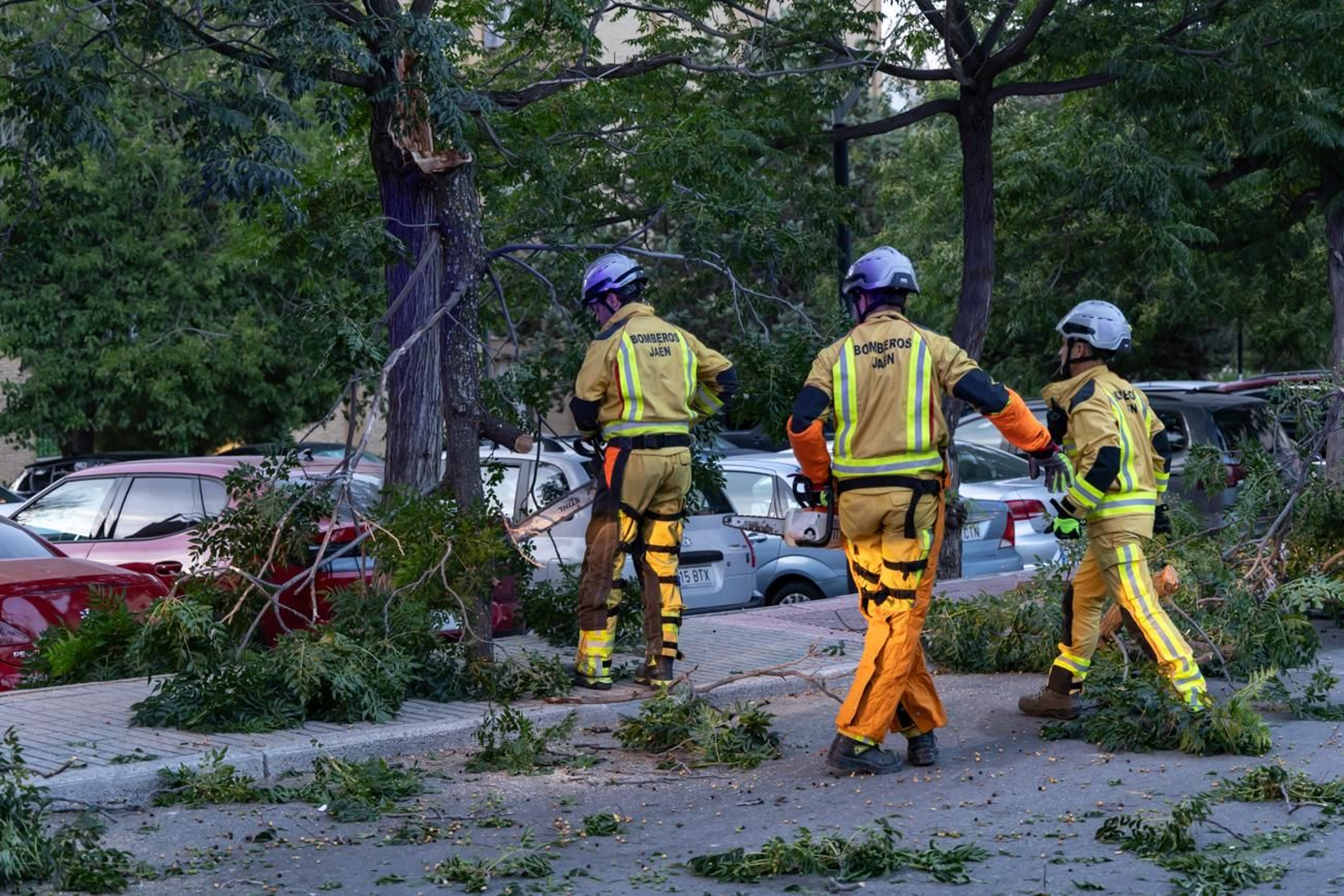 Un día junto a los bomberos de Jaén
