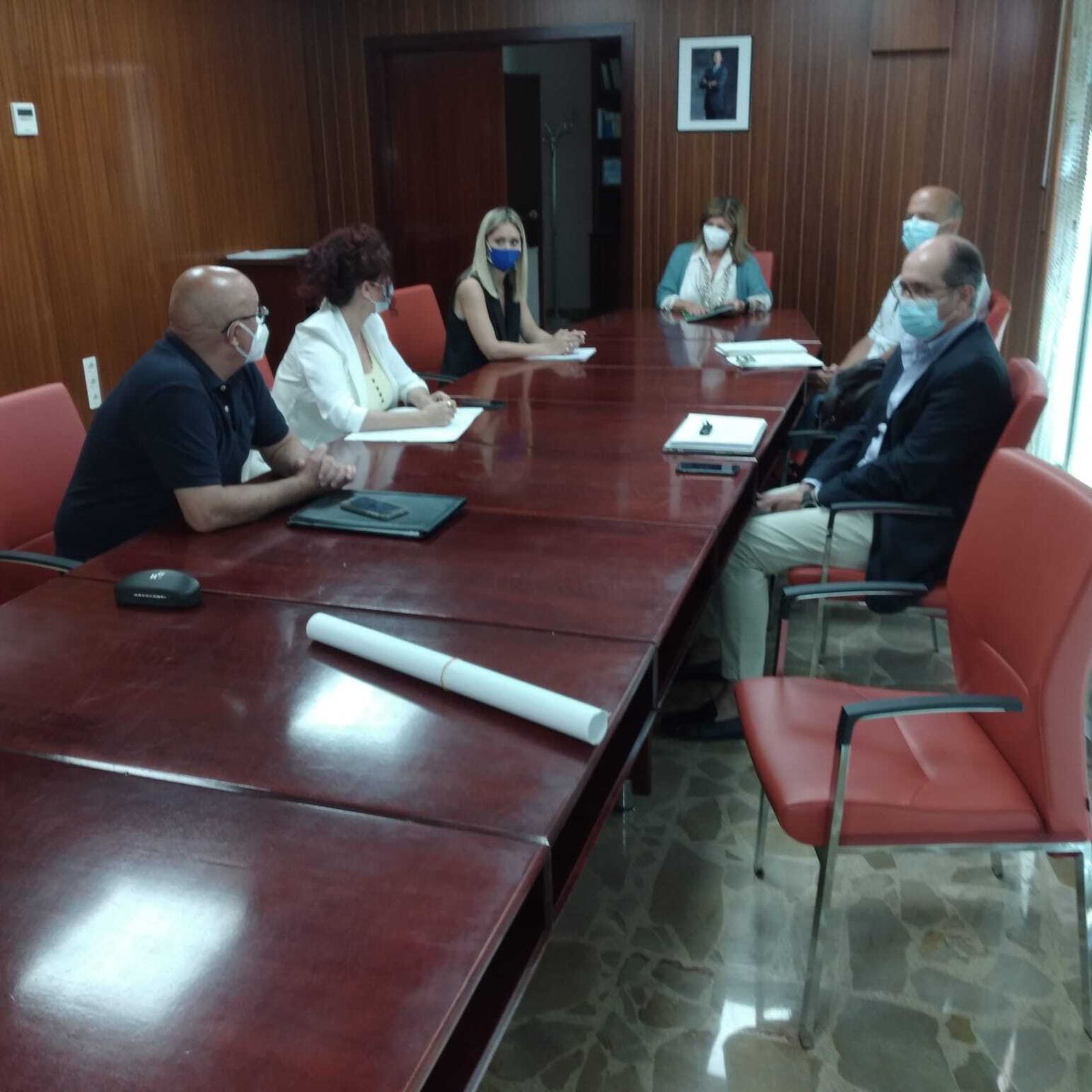 La reunión del Consejo Comarcal de la Bahía con la delegada territorial de Salud y Familias de la Junta de Andalucía.