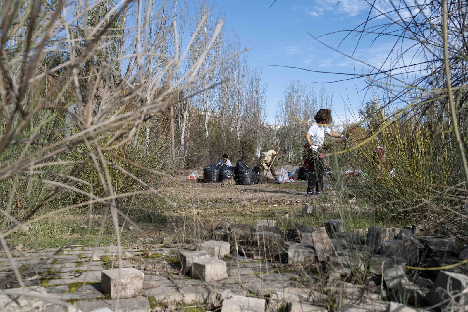 Amplias zonas del parque han sido cubiertas por la maleza.