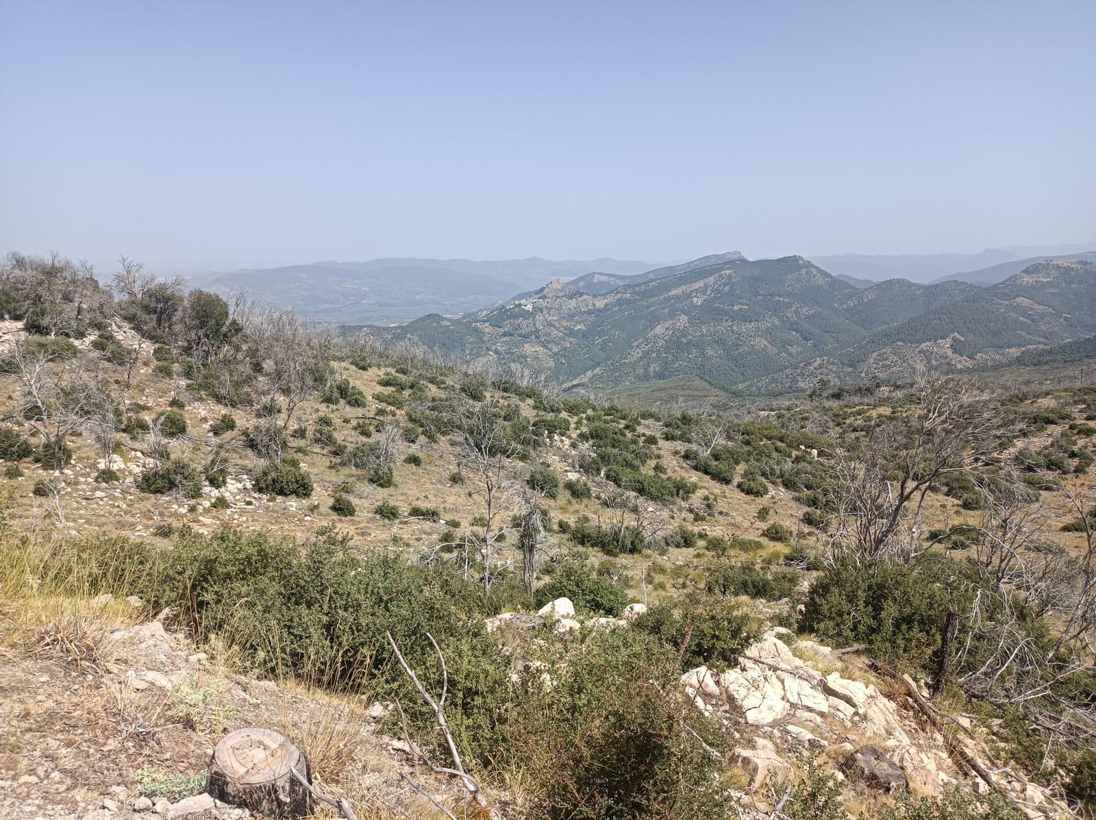 Así se regenera Segura de la Sierra tras el incendio forestal de 2017 Así se regenera Segura de la Sierra tras el incendio forestal de 2017