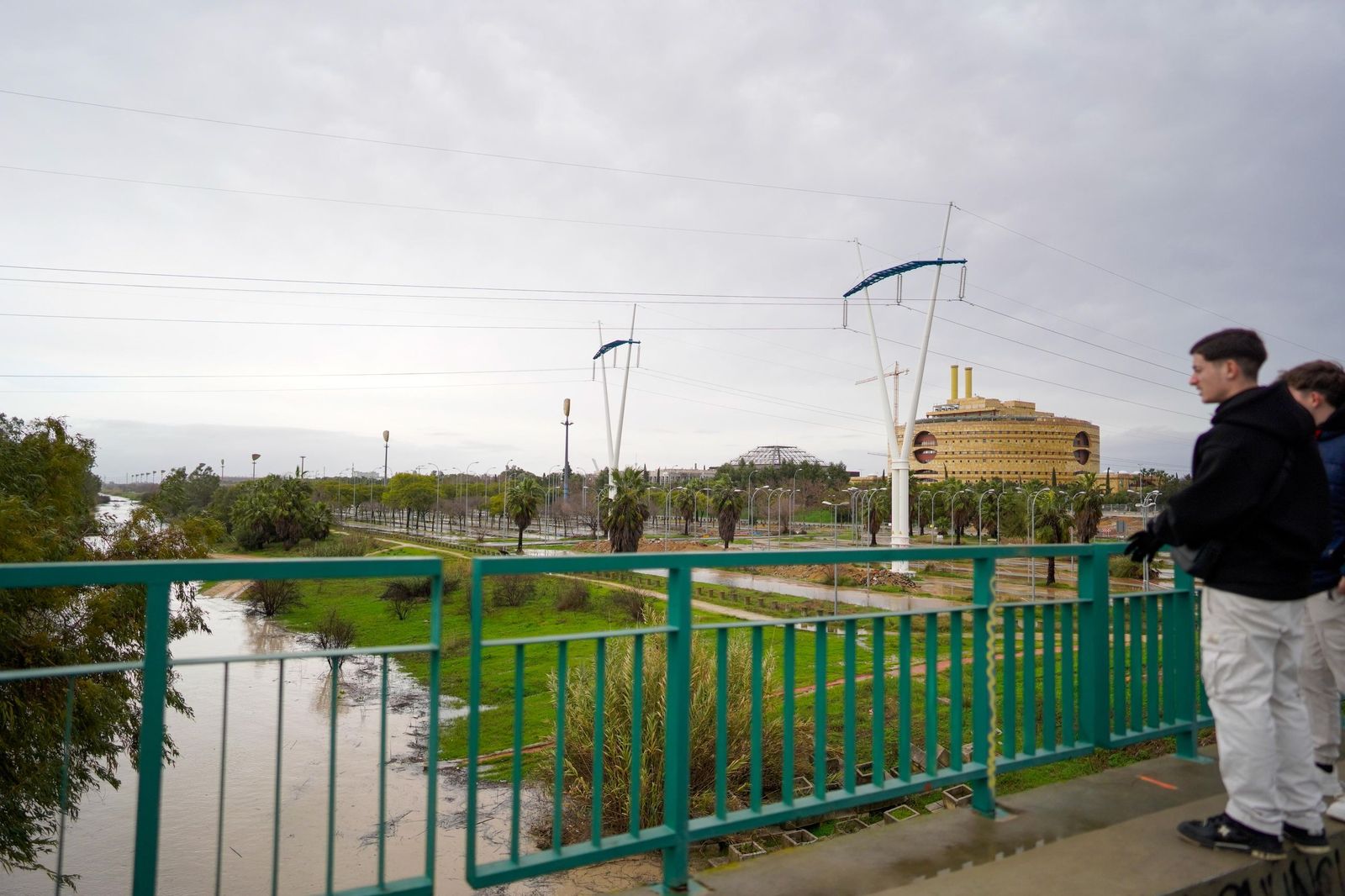 WhatsApp Image 2026-02-07 at 16.49.35 (3)