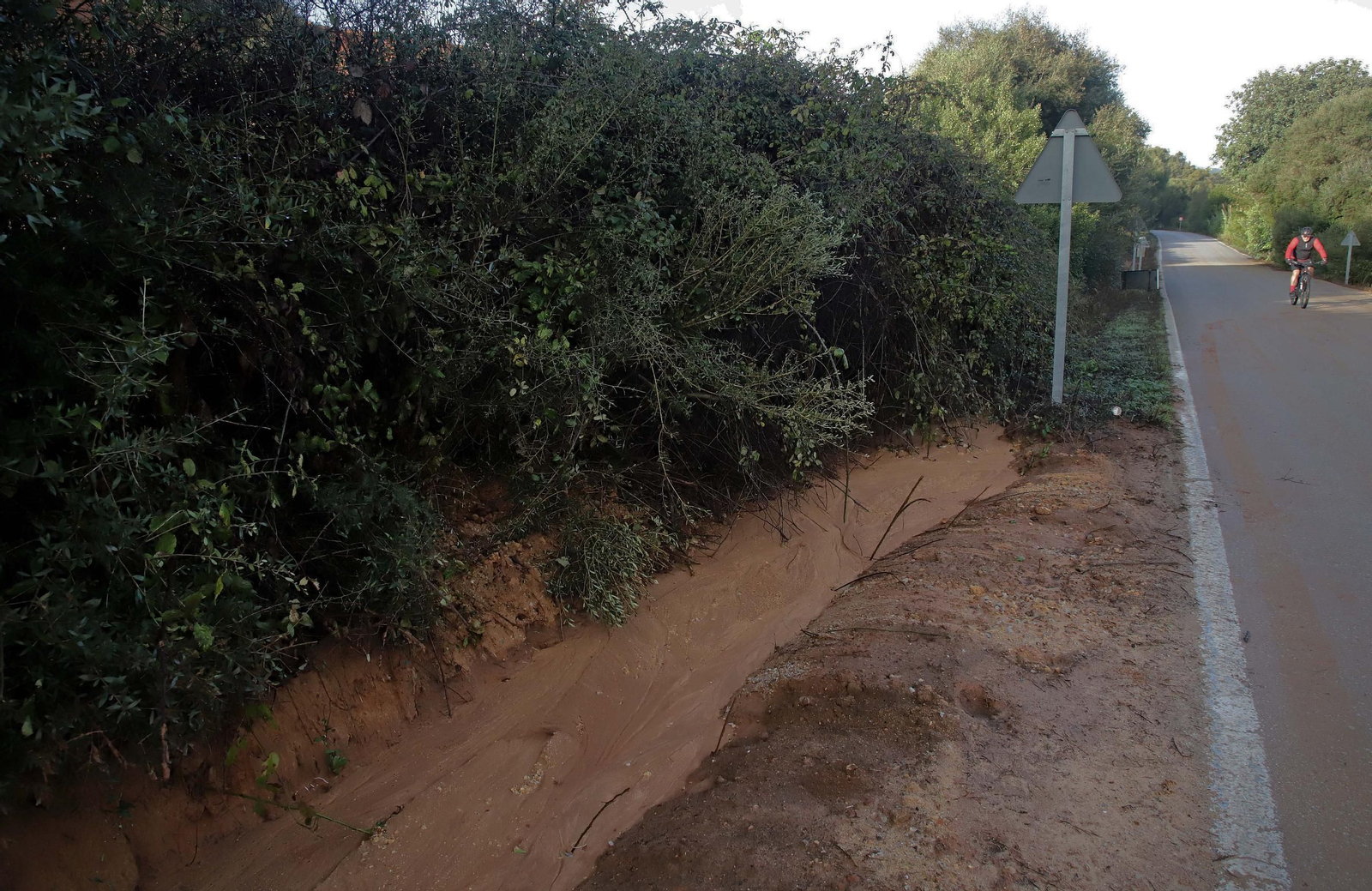 Fotos de las labores de limpieza y retirada de barro en la carretera CA-9203, que une Pinar del Rey con la Estación de San Roque