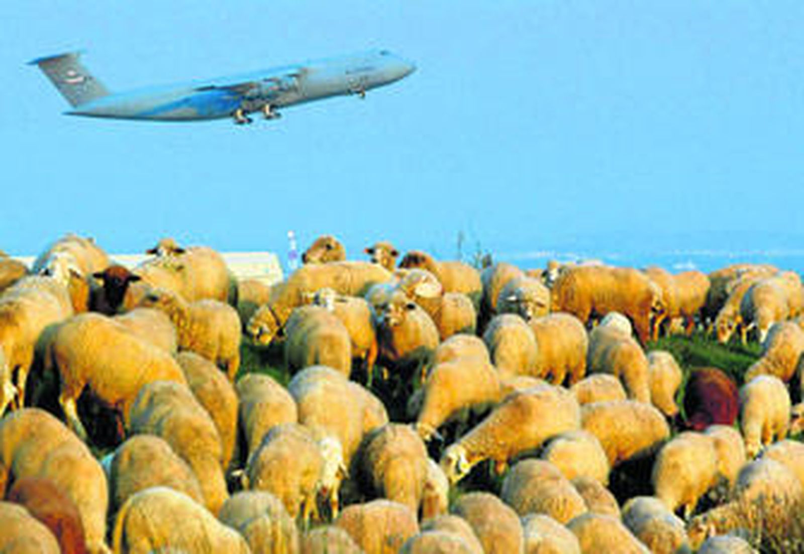 Cuando las servidumbres se convierten en un balón de oxígeno