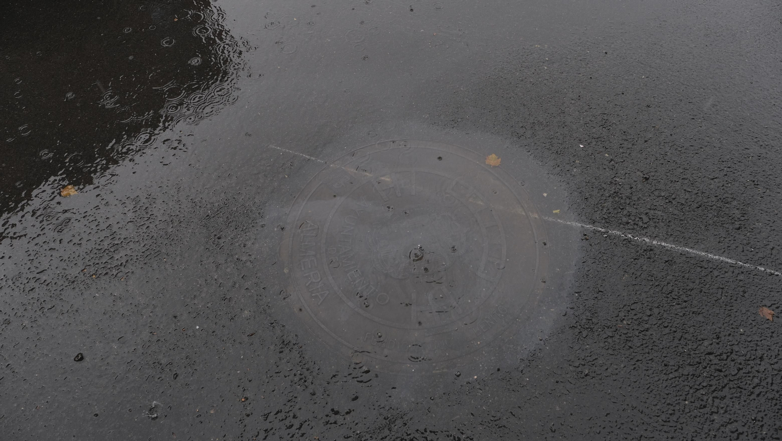 Los almerienses expresan su alegría por la lluvia