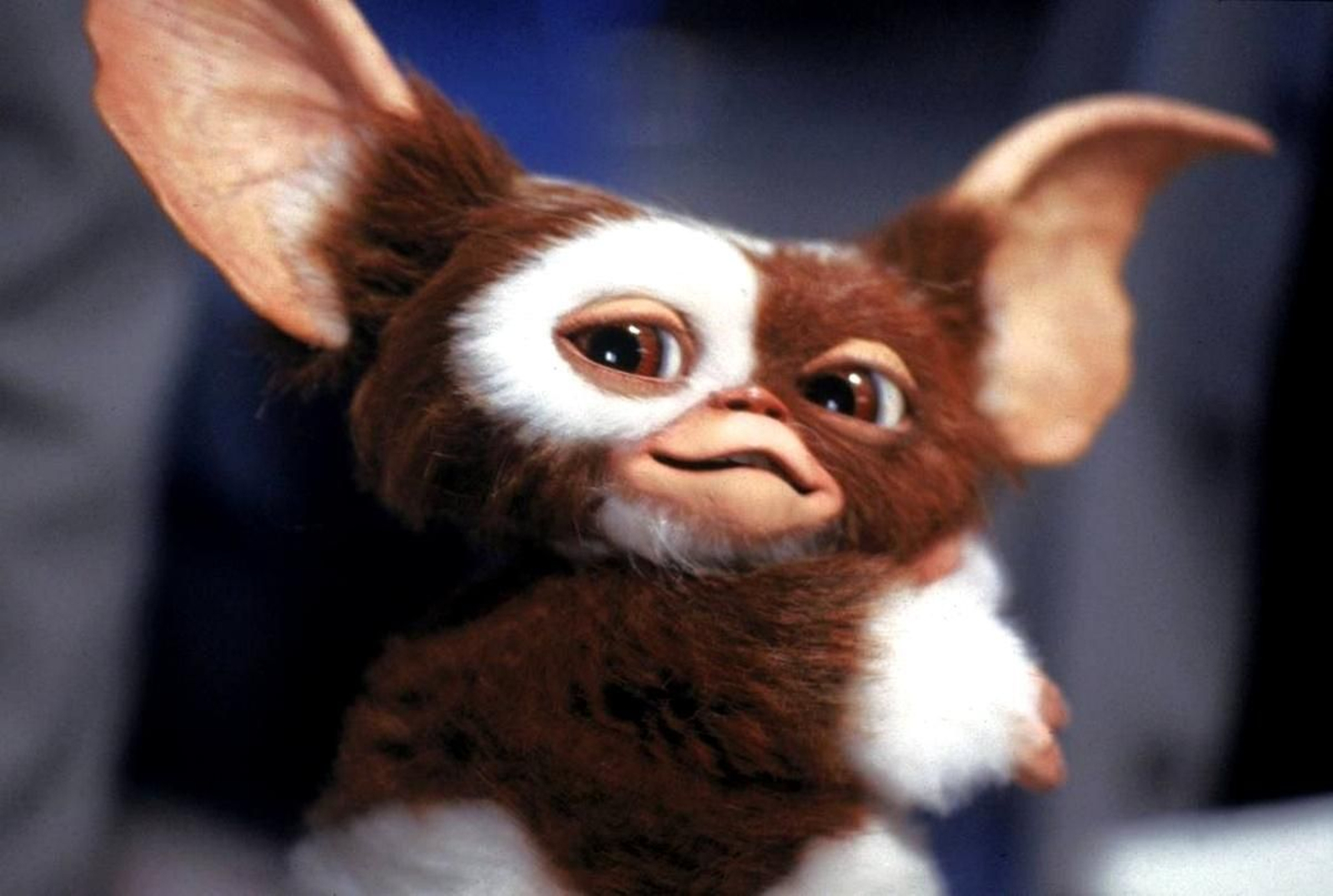 El clásico 'Los Gremlins' se proyecta este viernes en el Distrito Sur.