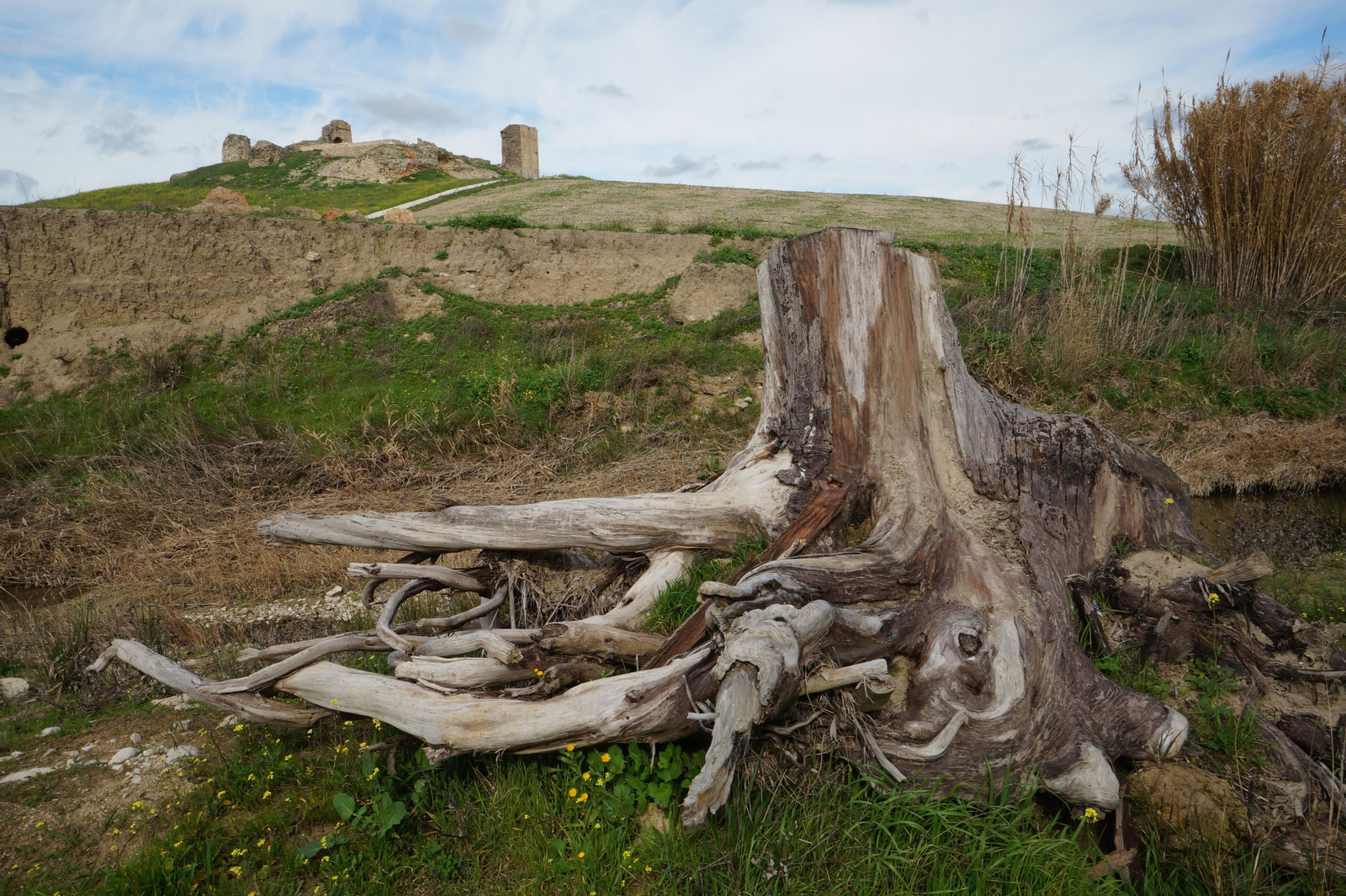 El castillo de Dos Hermanas de Montemayor, en fotografías