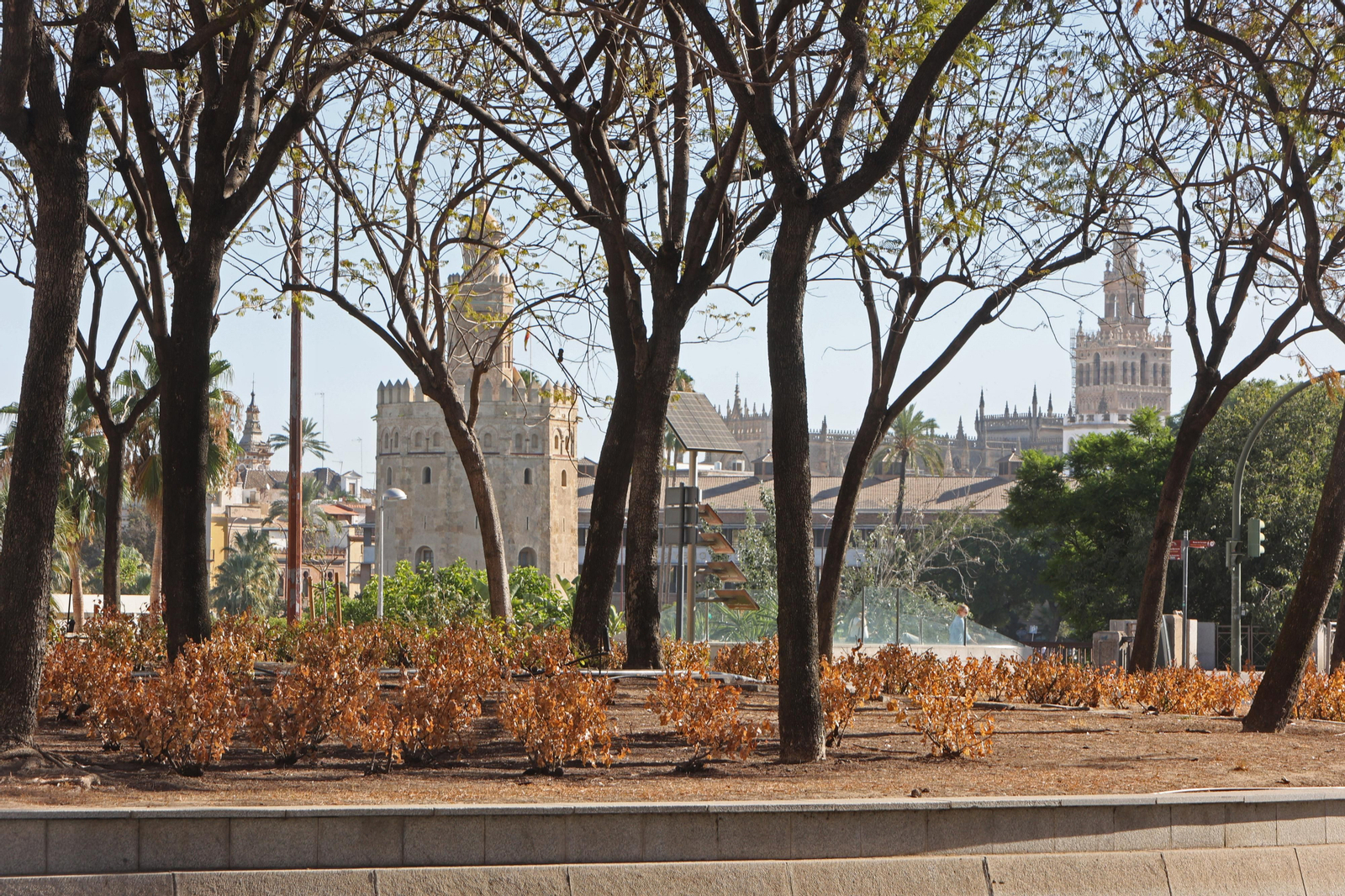 El barrio de Los Remedios, se seca