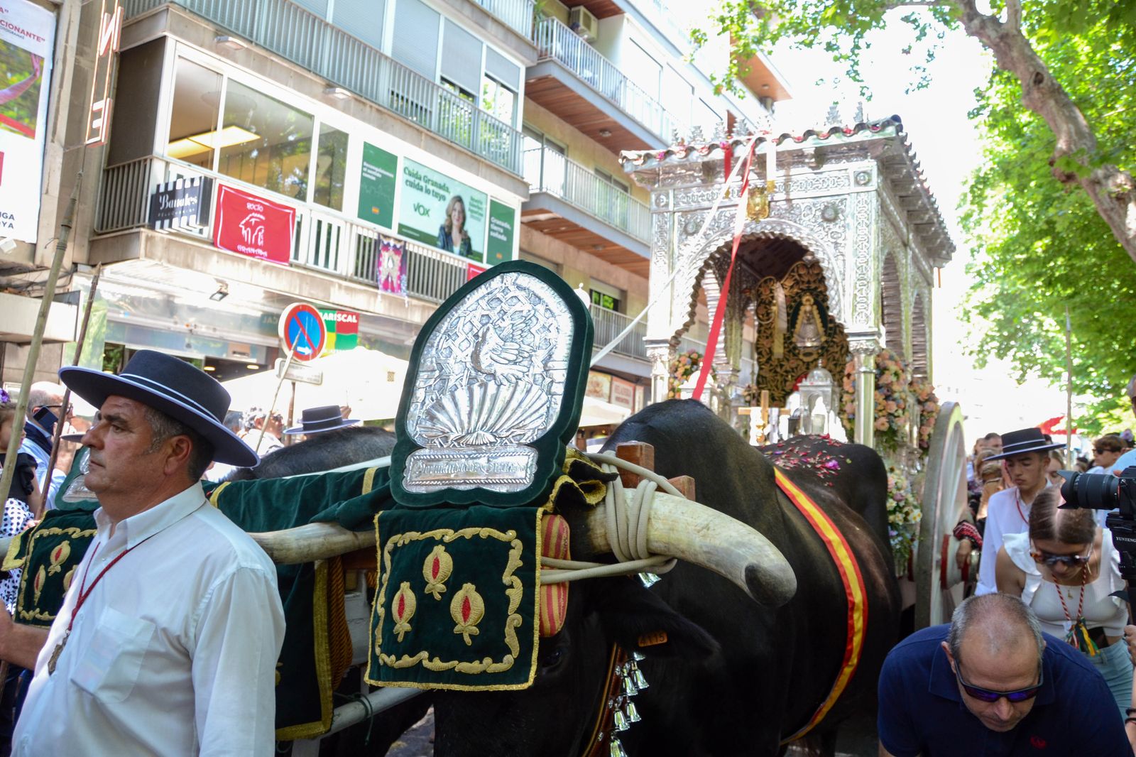 La salida de la Hermandad del Rocío de Granada, en imágenes