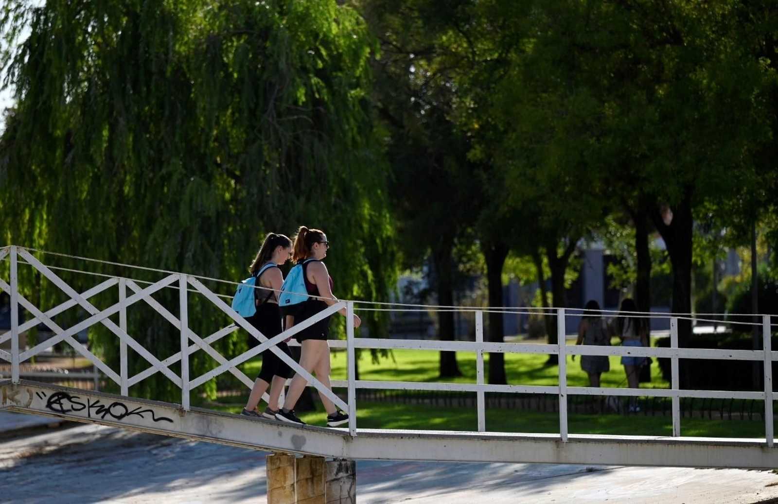 Una tarde de agosto en el barrio del Zoco de Córdoba, en imágenes