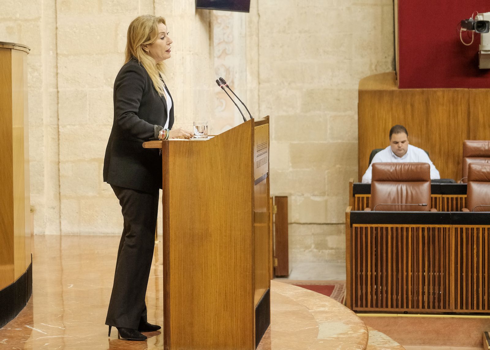 La consejera de Economía, Carolina España, presenta el proyecto de Ley en el Parlamento.