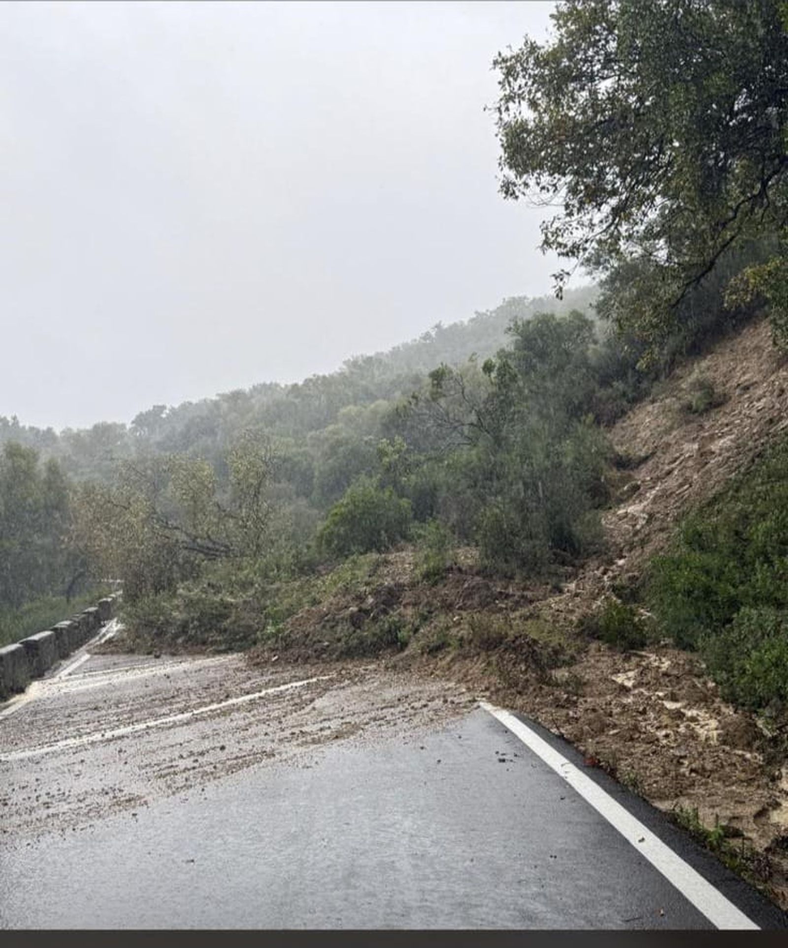 La carretera Jimena - Puerto Galis.