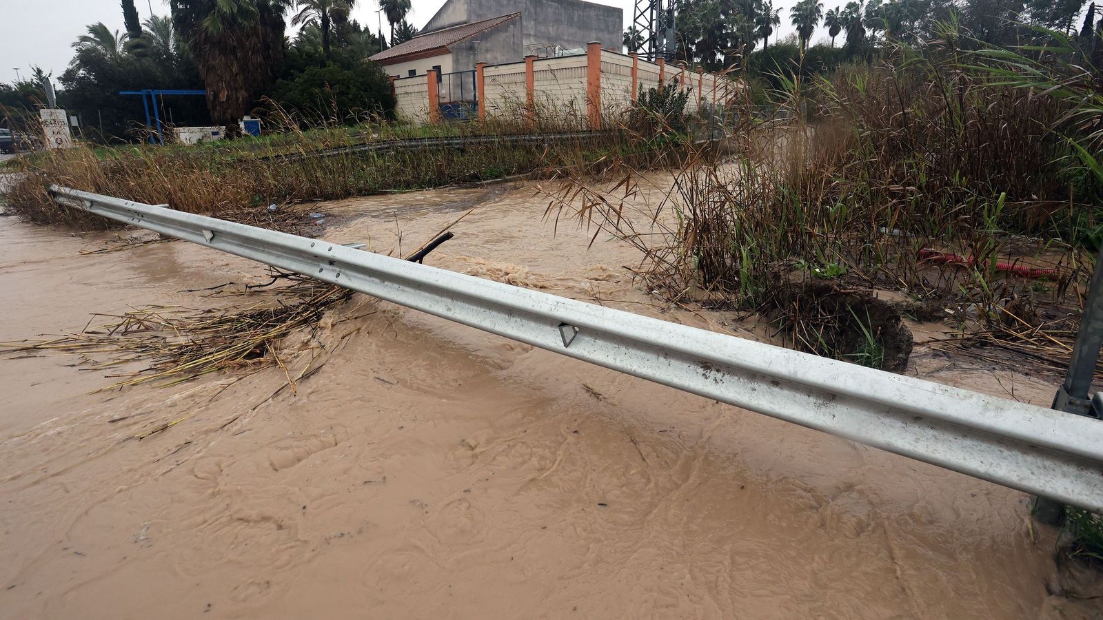 Imágenes del paseo rural por Jerez en el estreno de la borrasca Marta