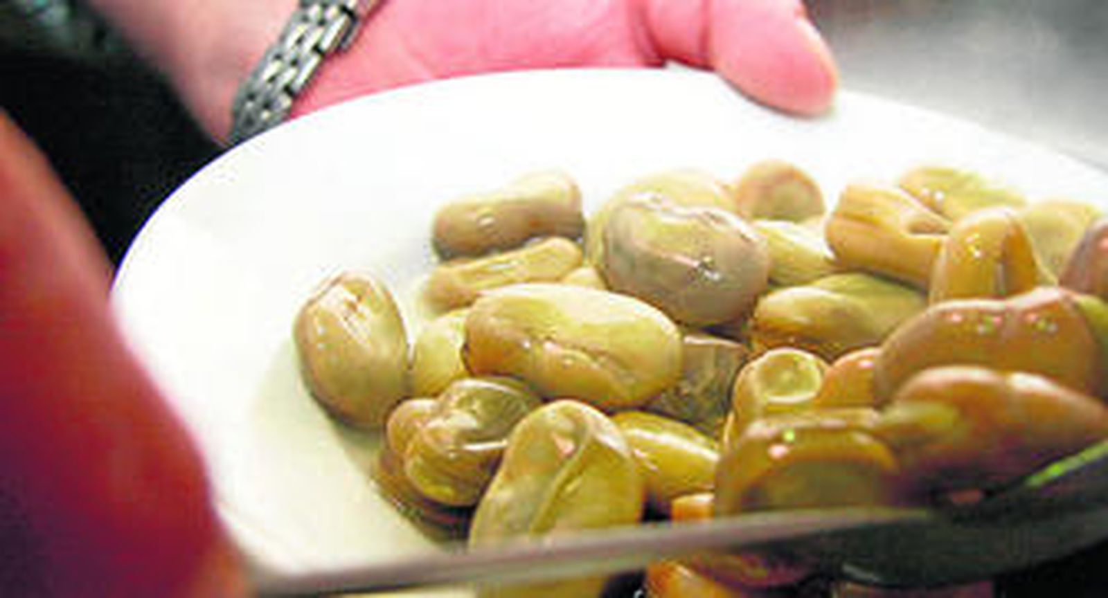 Las jornadas están destinadas a dar a conocer la riqueza gastronómica de las habas.