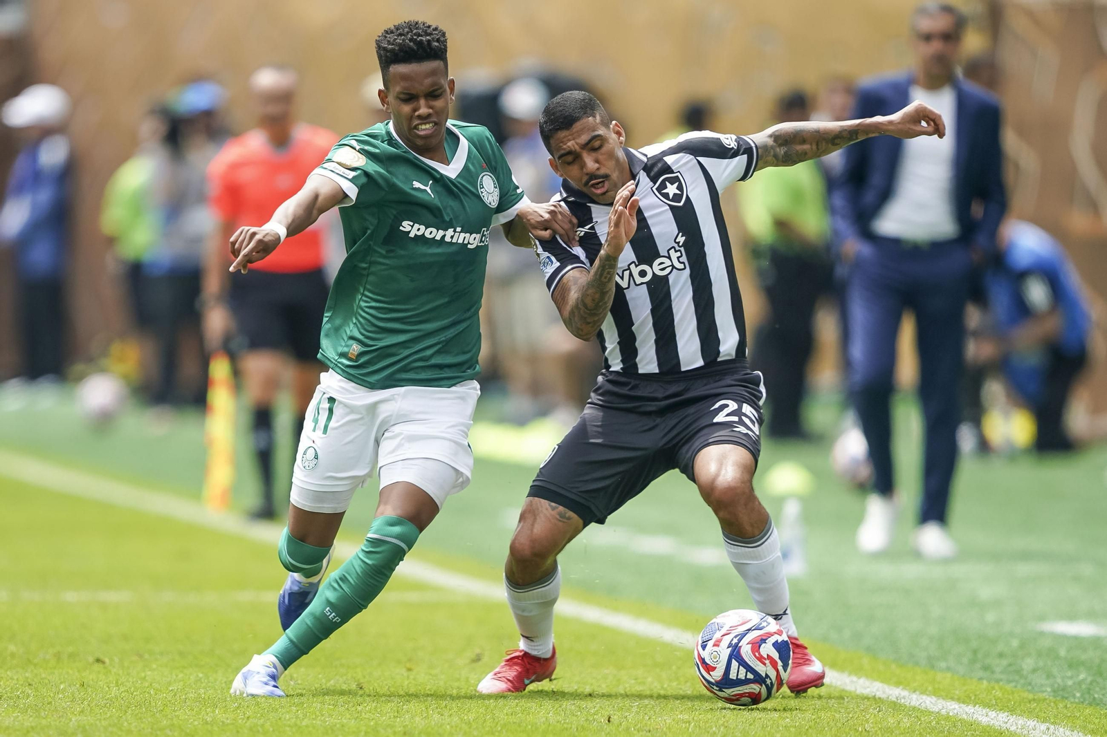 Palmeiras-Botafogo (62).jpg