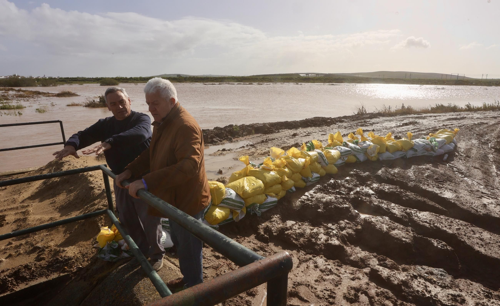 El campo en Lebrija inundado tras las lluvias