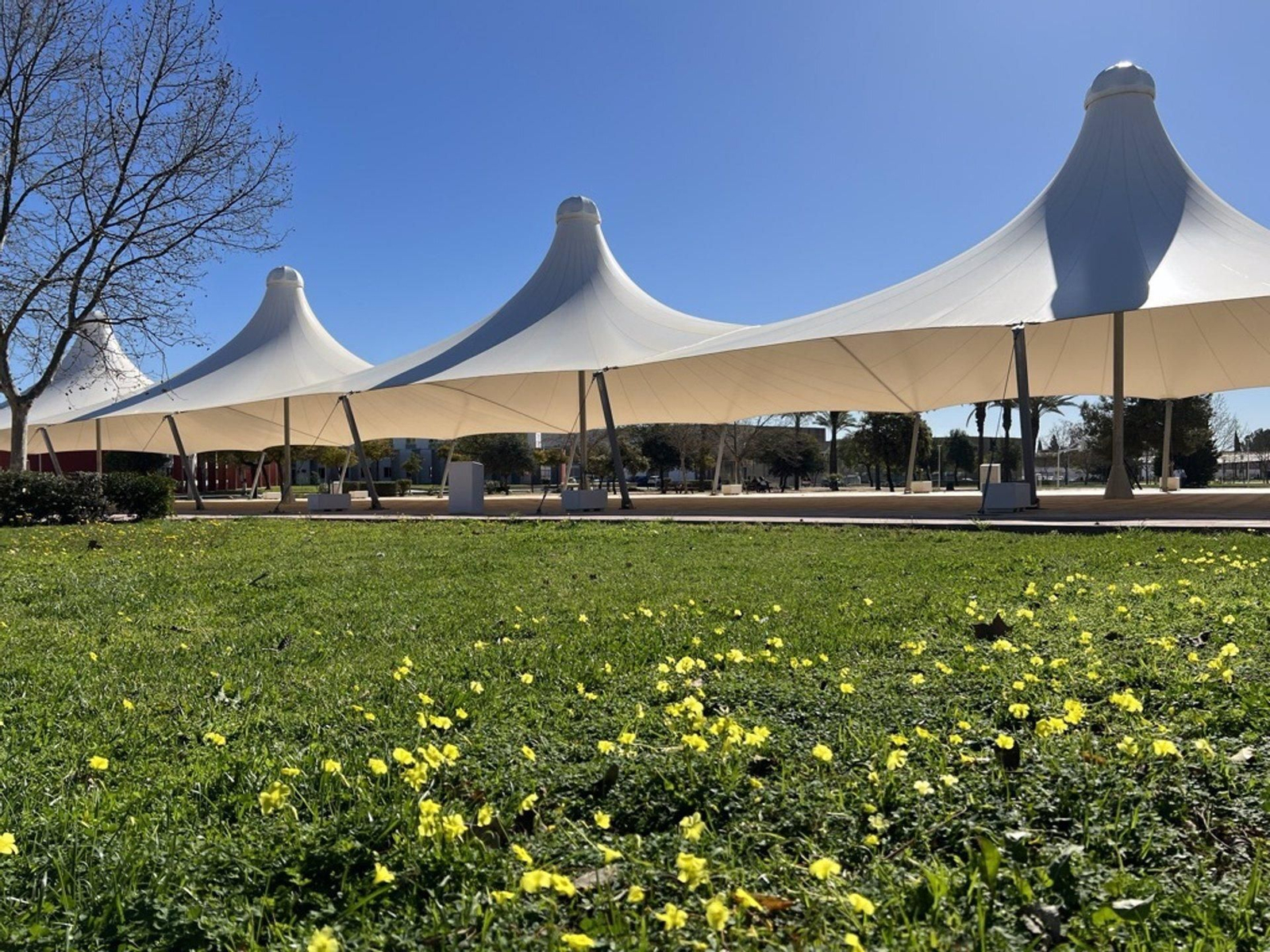 Bulevar central de la Universidad de Huelva.