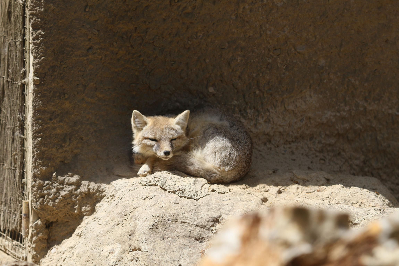 Fotogalería del Oasys Mini Hollywood sin actividad durante el coronavirus