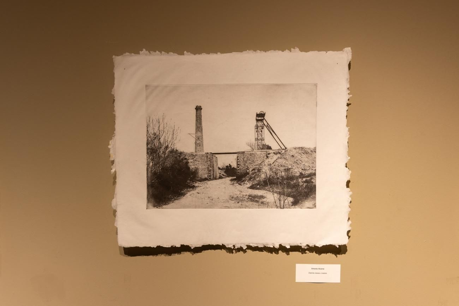 Del taller al museo: Jaén Edita impulsa una nueva estética para el arte contemporáneo andaluz