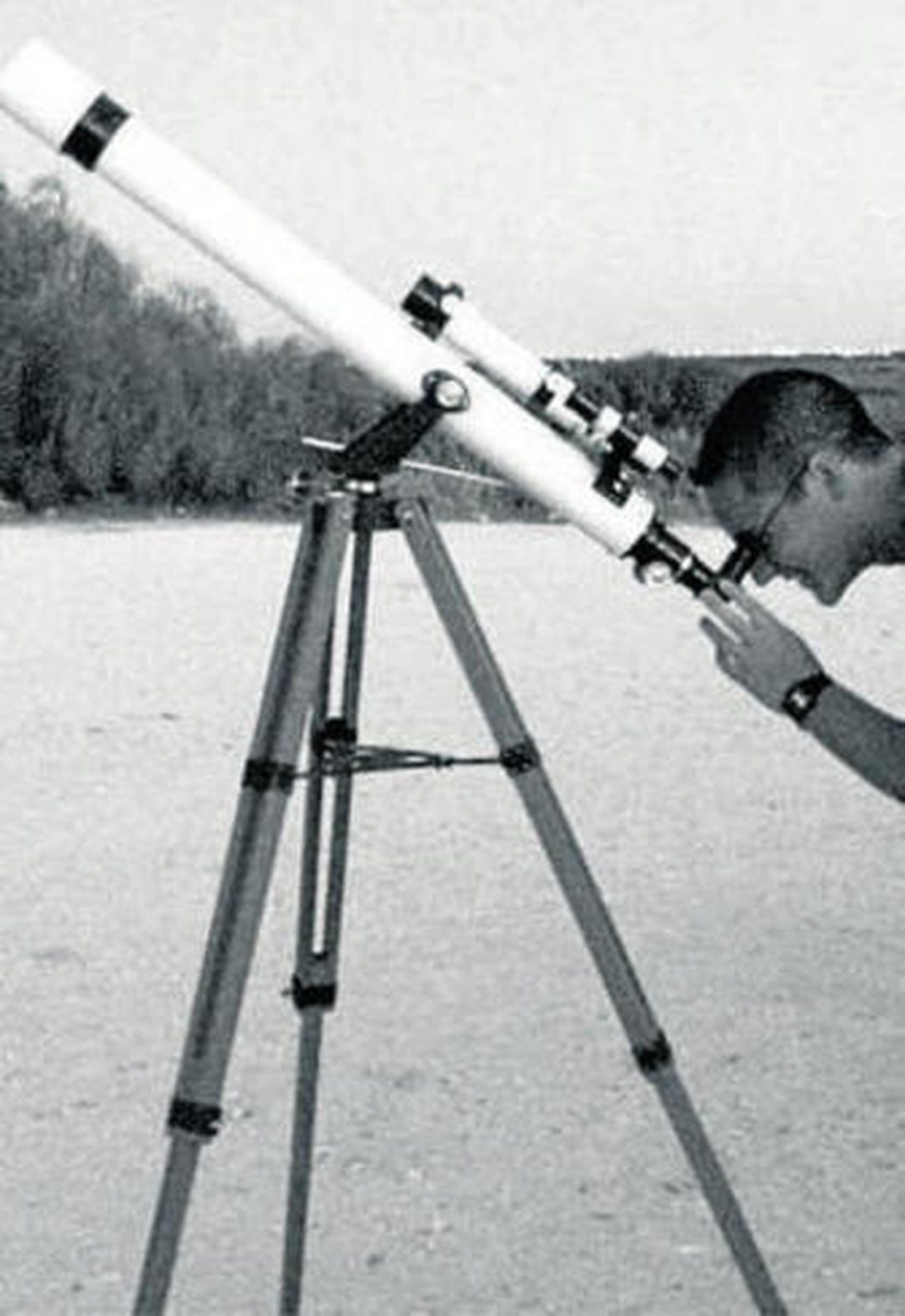 Observación en Los Toruños.