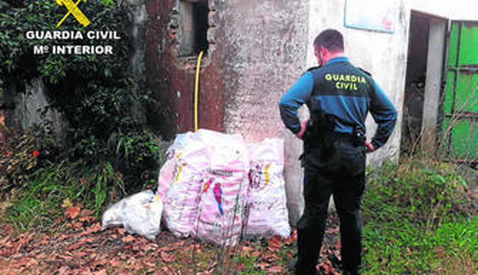 Un agente del instituto armado realiza labores de vigilancia en un campo de fresa.