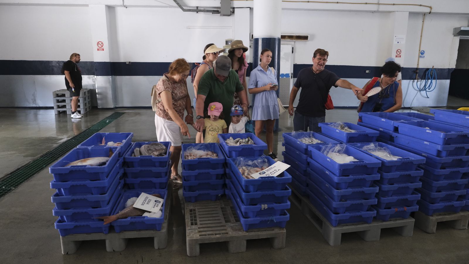 Imágenes de la visita guiada a la Lonja del Puerto Pesquero de Almería