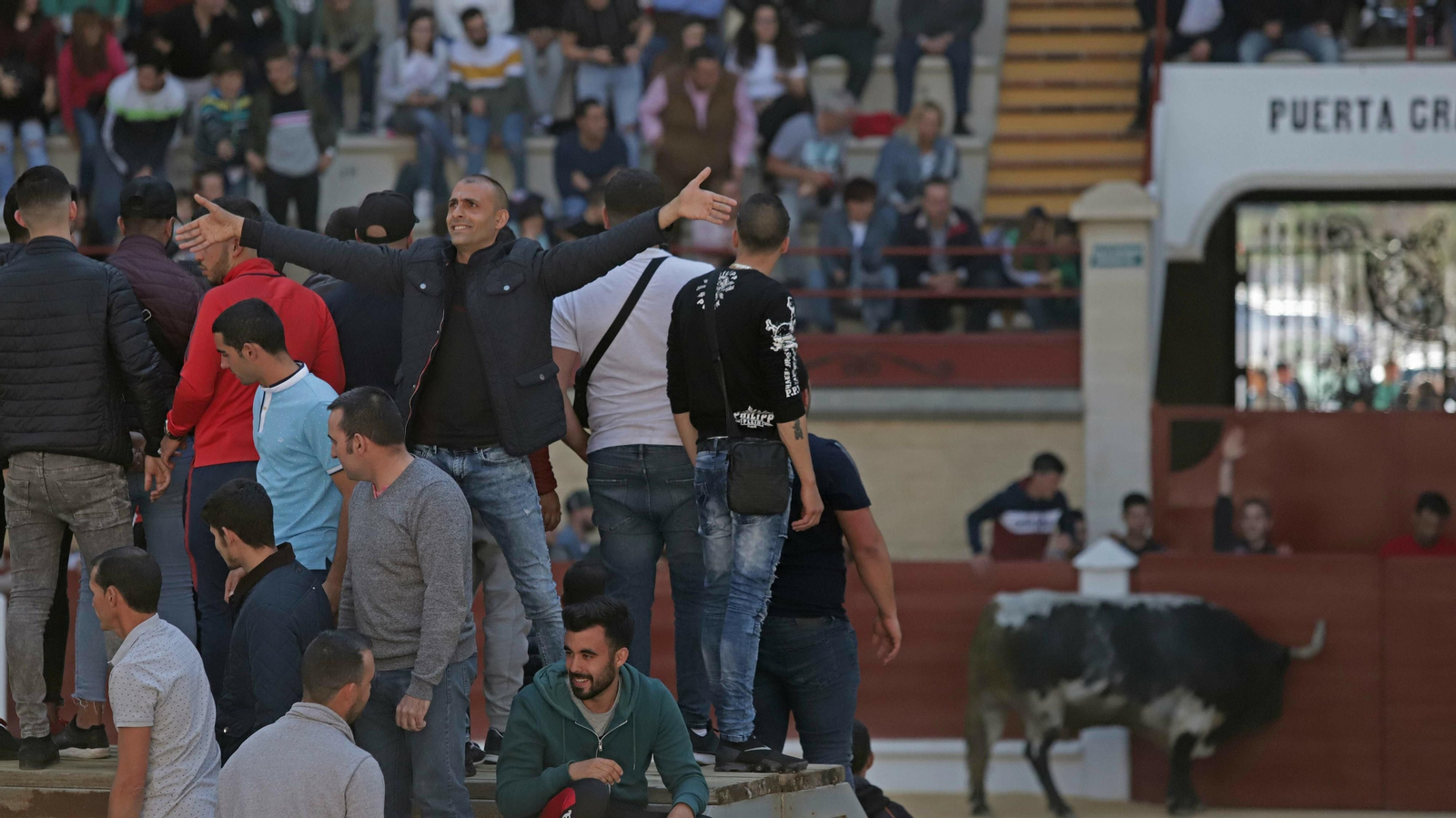 Toro de la Víspera en Los Barrios