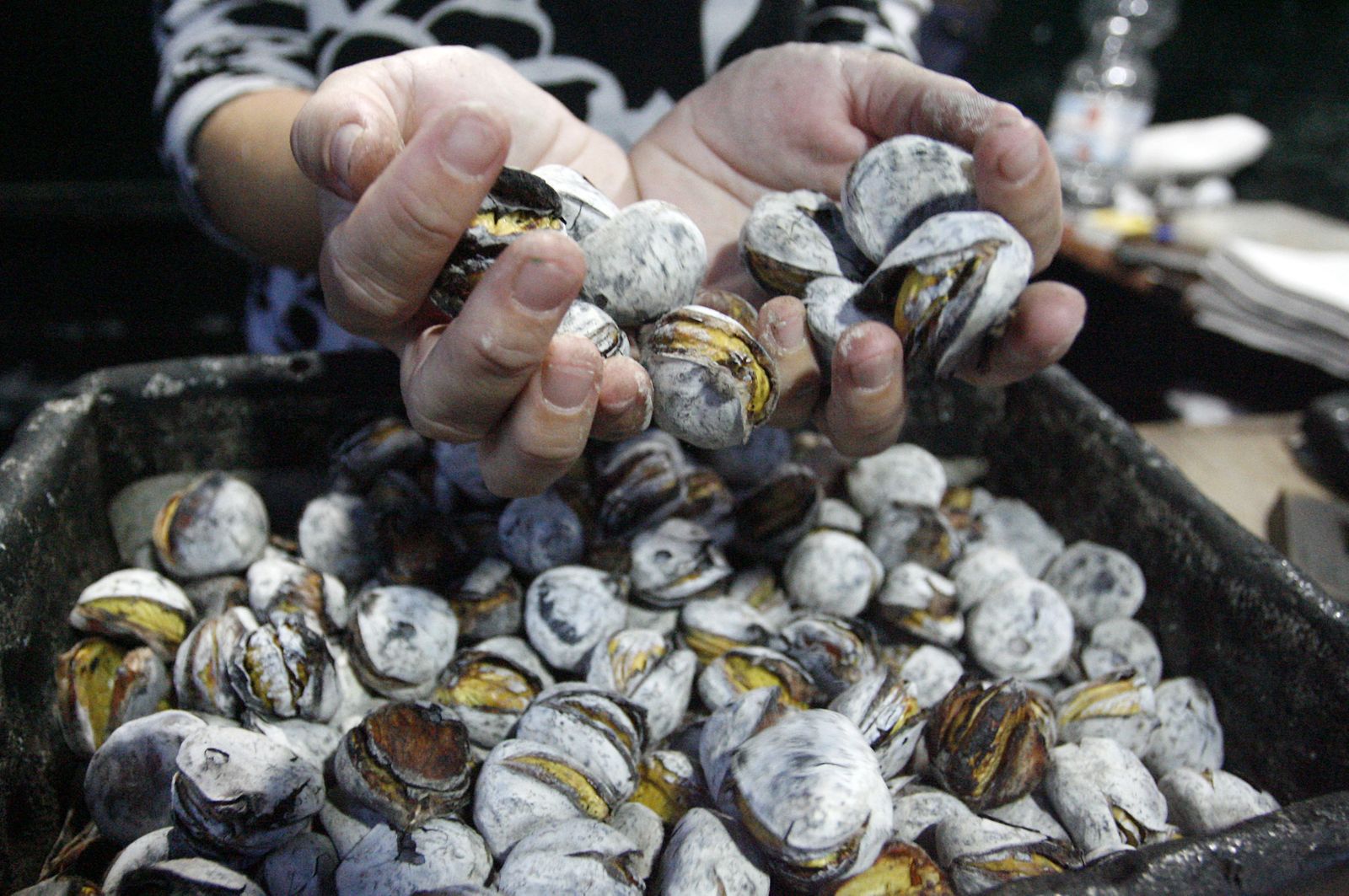 Un hombre preparando castañas.