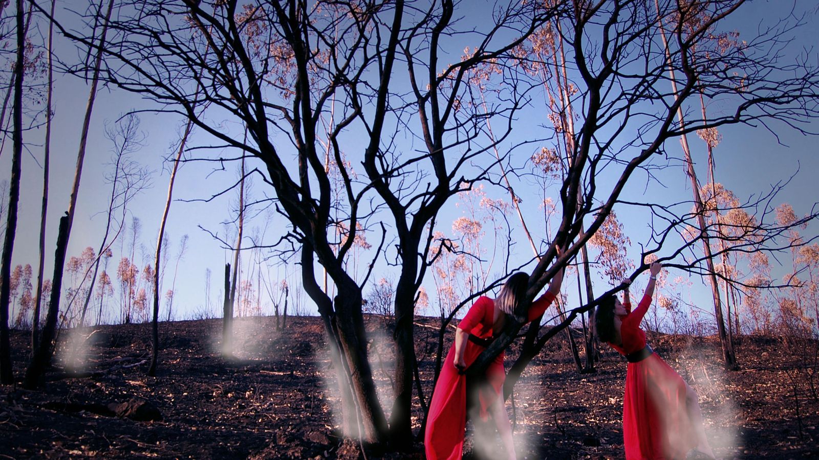 Una de las imágenes de las que se compone la muestra.