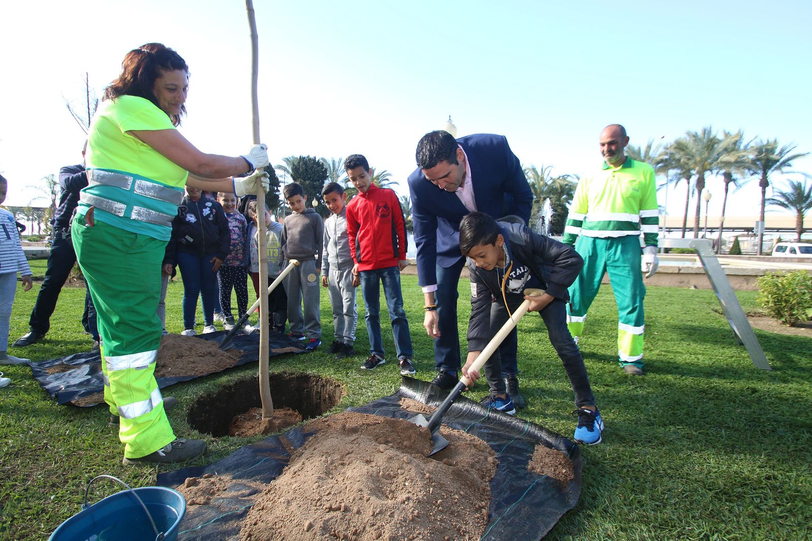 Imágenes del Día Mundial del Árbol