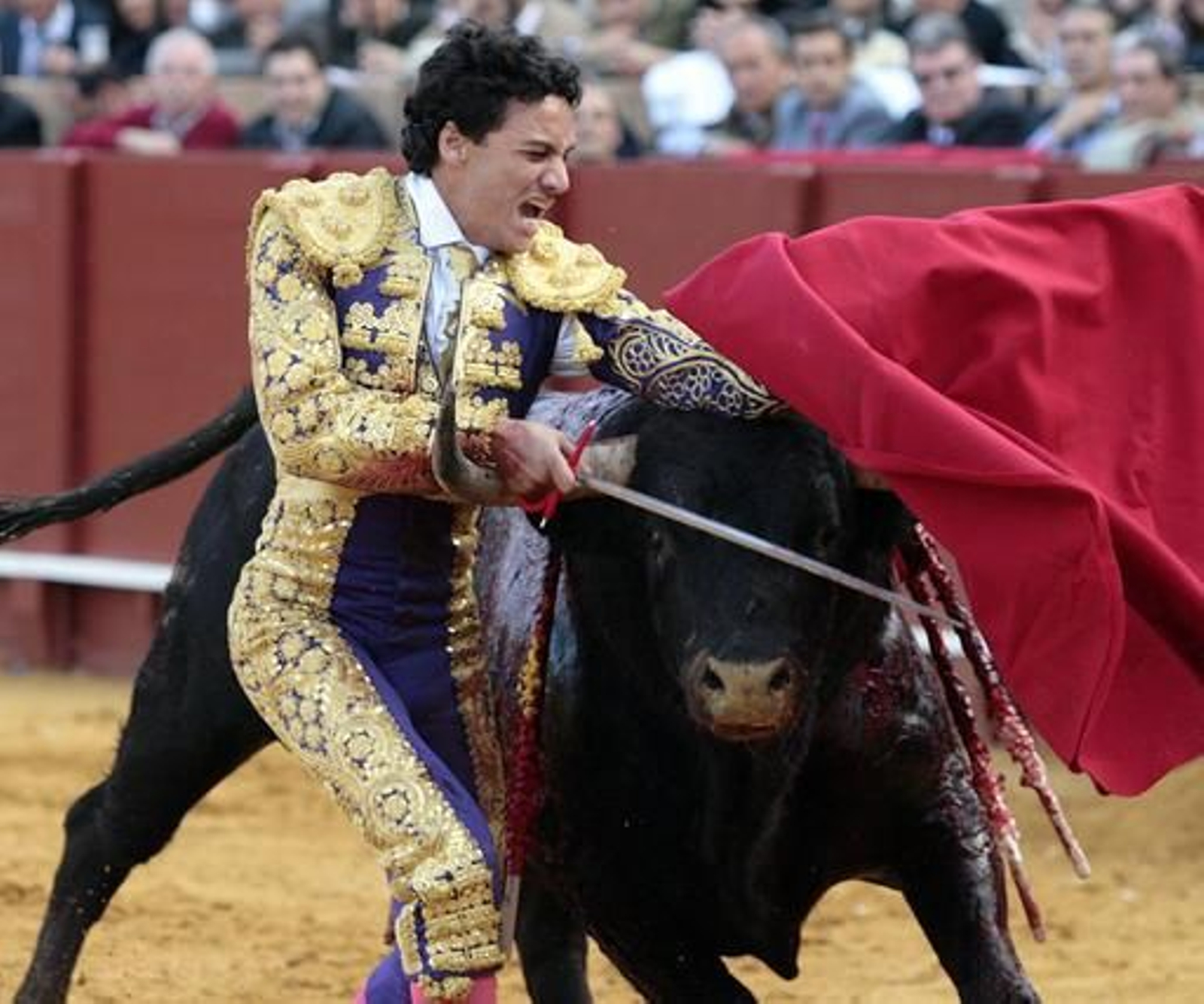 El diestro camero tuvo un pequeño susto en su primer toro aunque no le causó heridas algunas.

Foto: Juan Carlos Muñoz