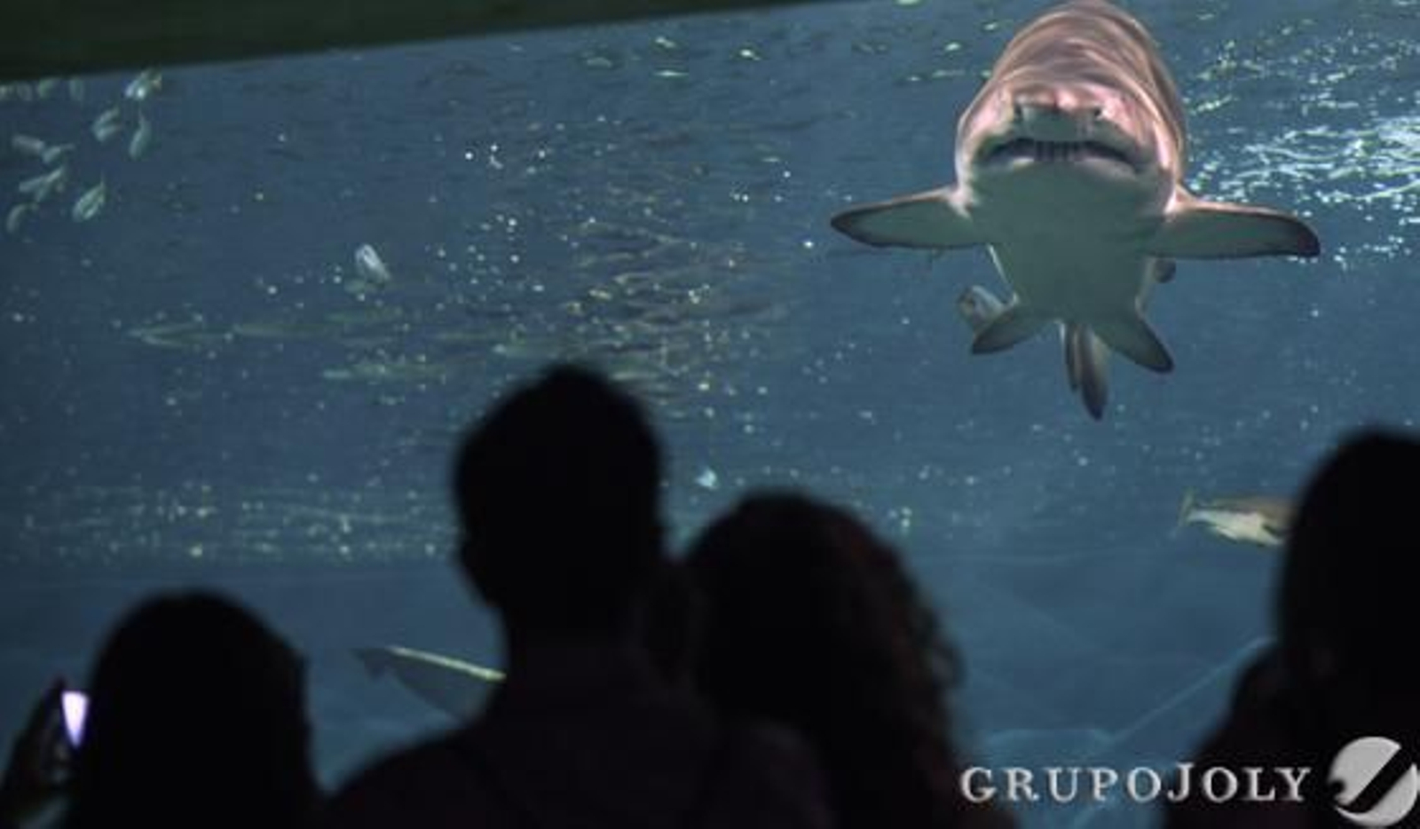 Foto: Antonio Pizarro