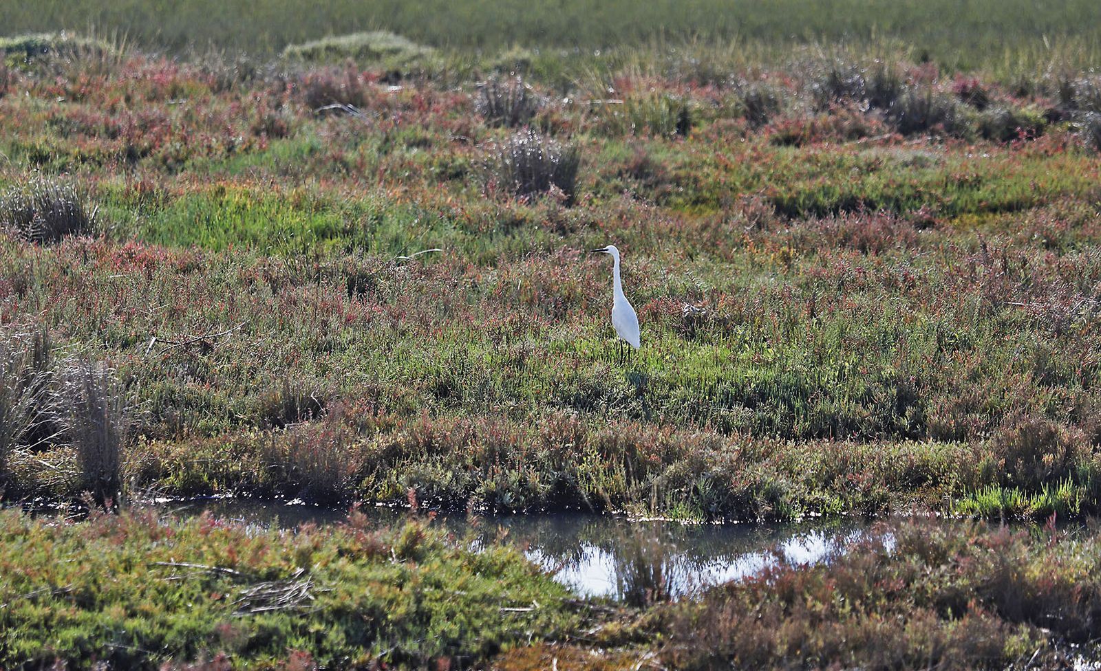 Las imágenes más destacadas del domingo 3 de diciembre en Huelva