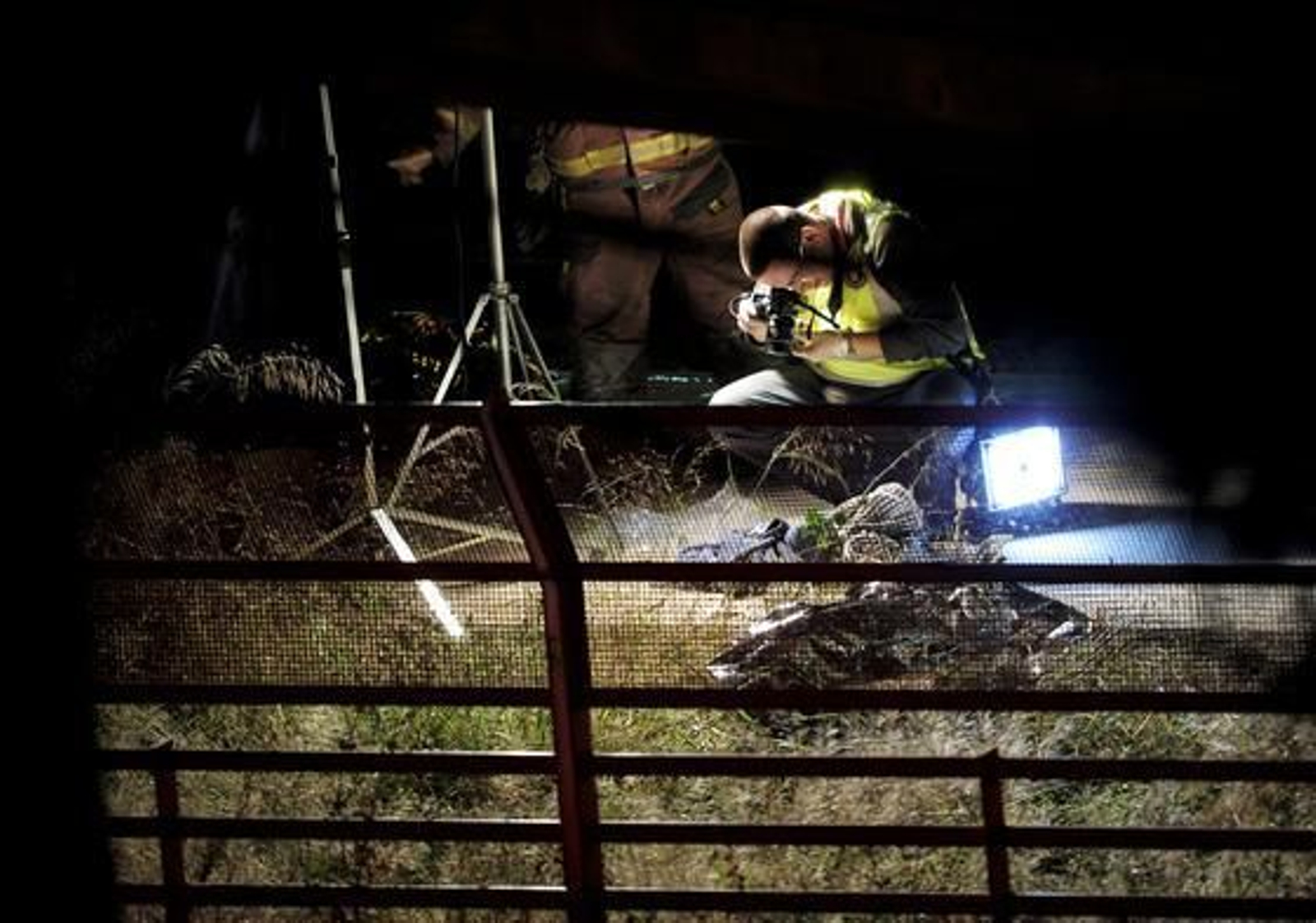 Al menos 12 personas, en su mayoría jóvenes, han muerto tras ser arrolladas por un tren en la estación de Castelldefels. 

Foto: Marta Pérez, (EFE)
